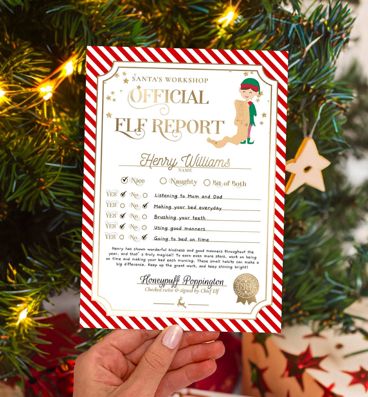 Printable Elf Report Card Template, North Pole Elf Mail Report Letter, Santa's Workshop Christmas Elf Arrival Box, Stripe
