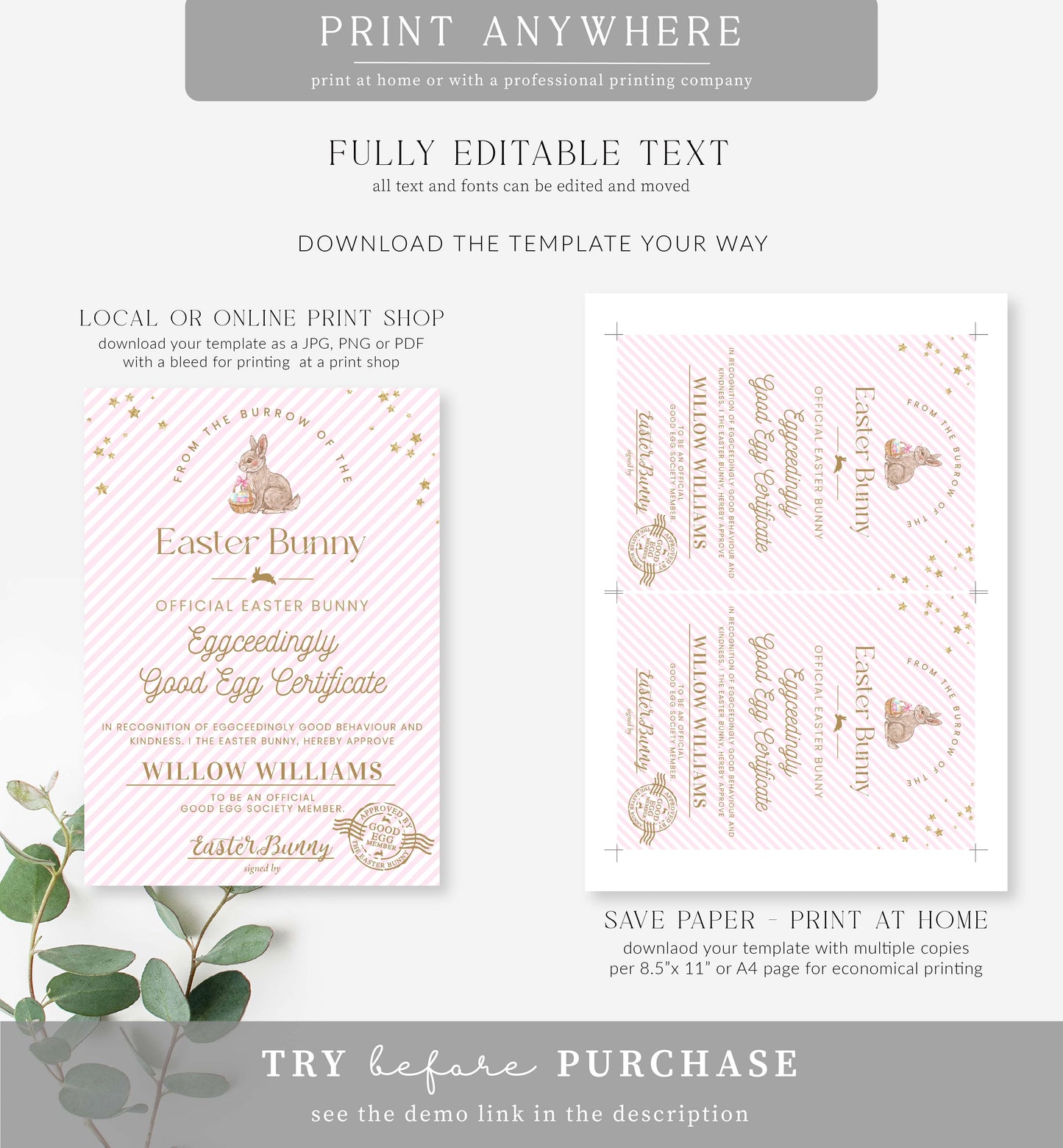 Stripe Pink | Printable Easter Good Egg Certificate Template