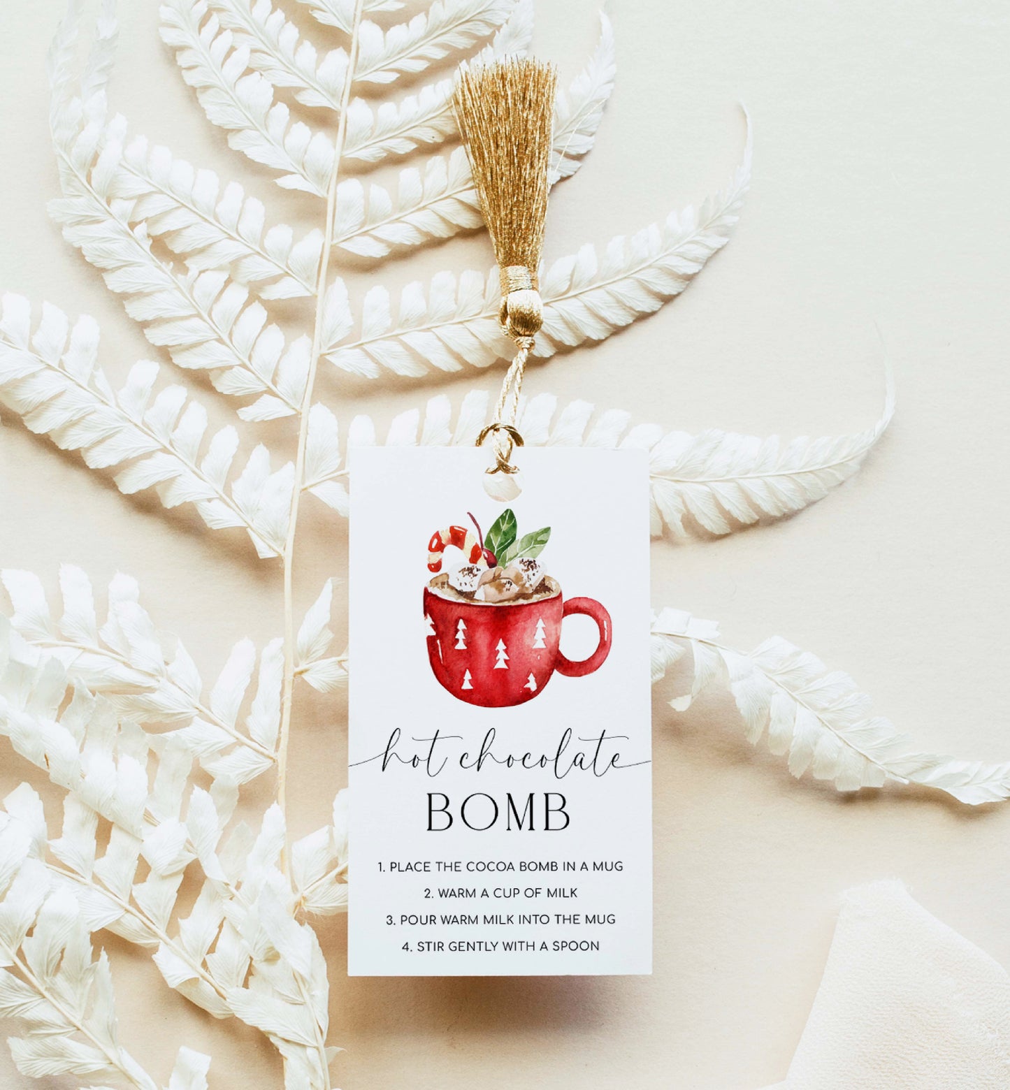 Printable Hot Chocolate Bomb Tags, Hot Cocoa Bomb Instruction Tag, Cookies and Cocoa Favor Tag, Christmas You're The Bomb, Nutmeg Noel