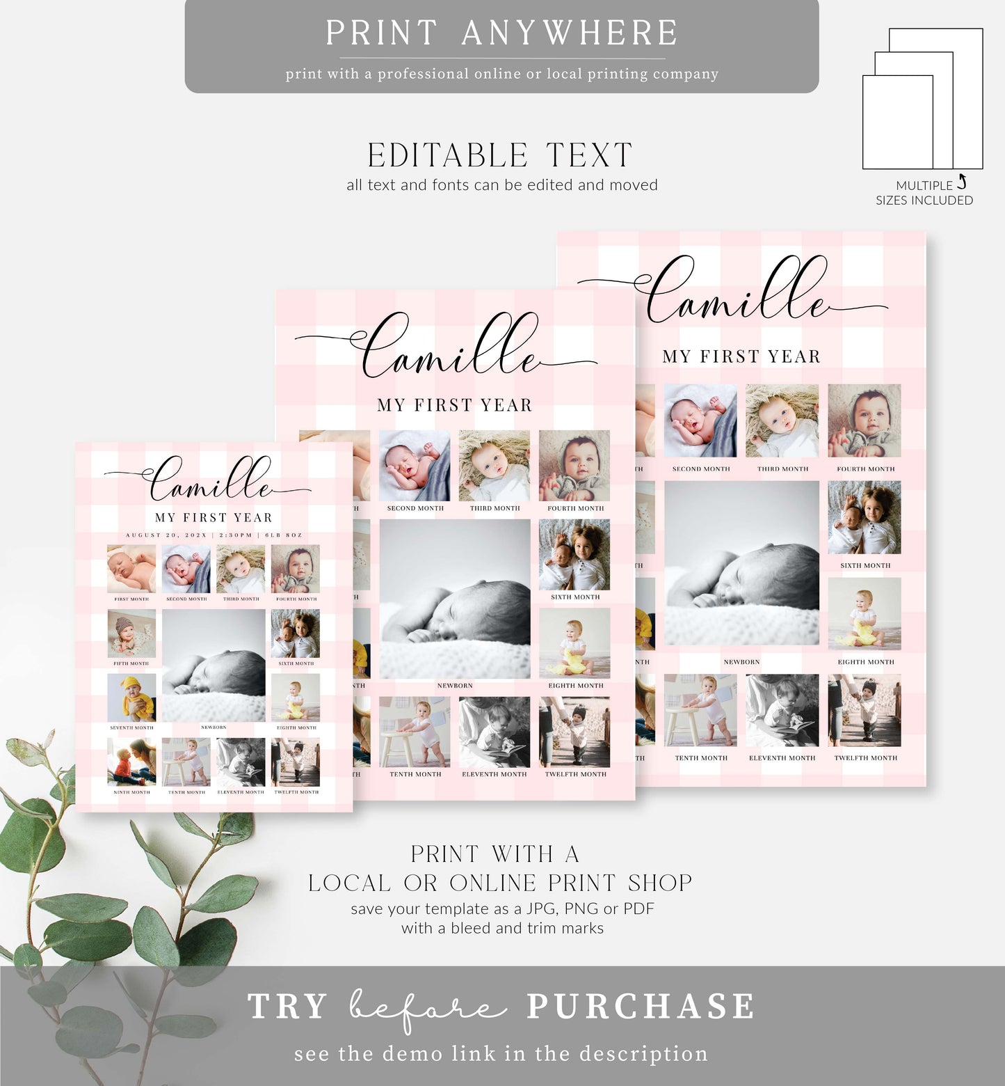 Gingham Pink | Printable My First Year Photo Timeline Sign Template