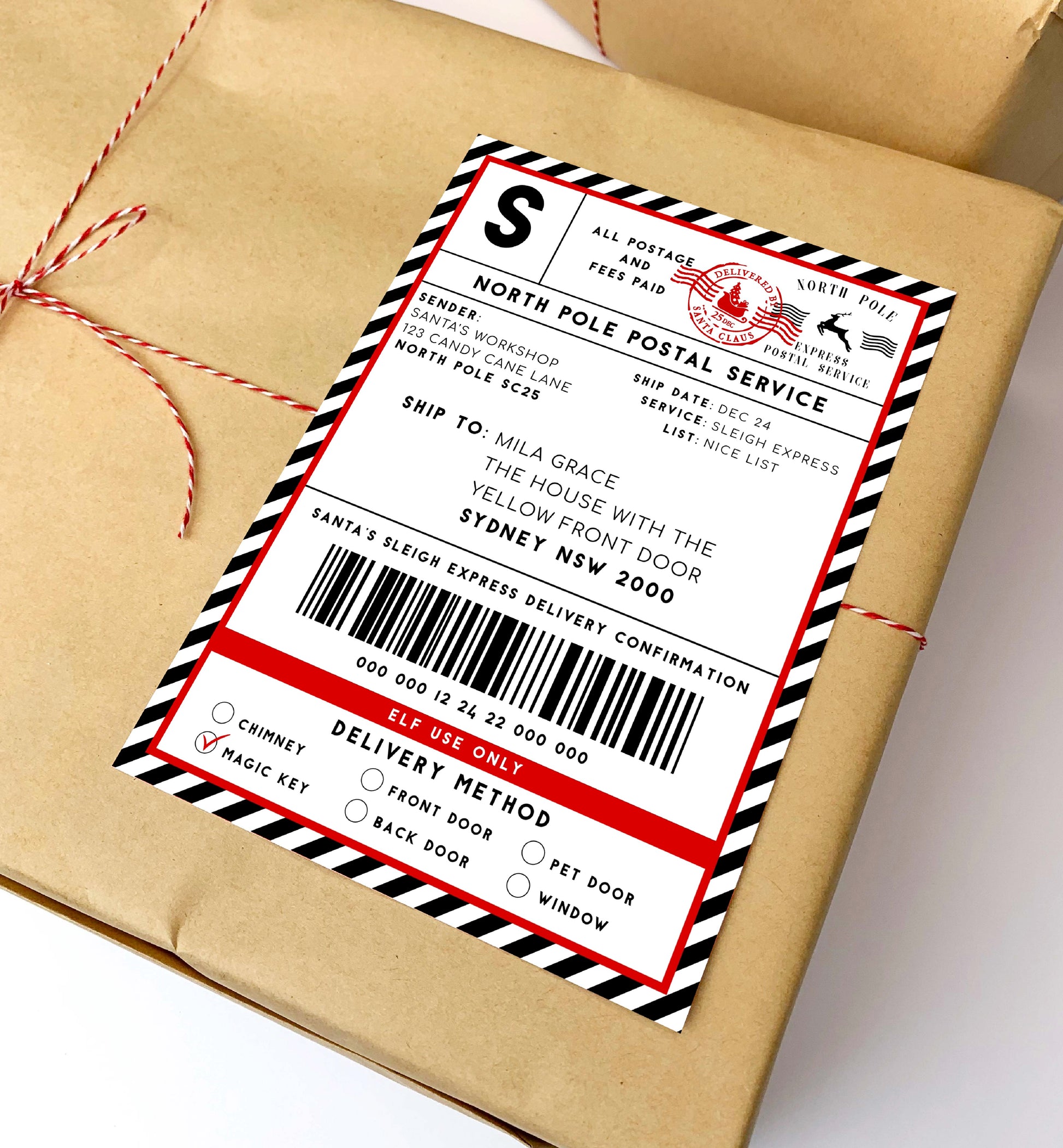 Printable Courier Shipping Label, Santa Mail North Pole Shipping Label Sticker, Christmas Special Delivery Label, Christmas Santa Gift Tag