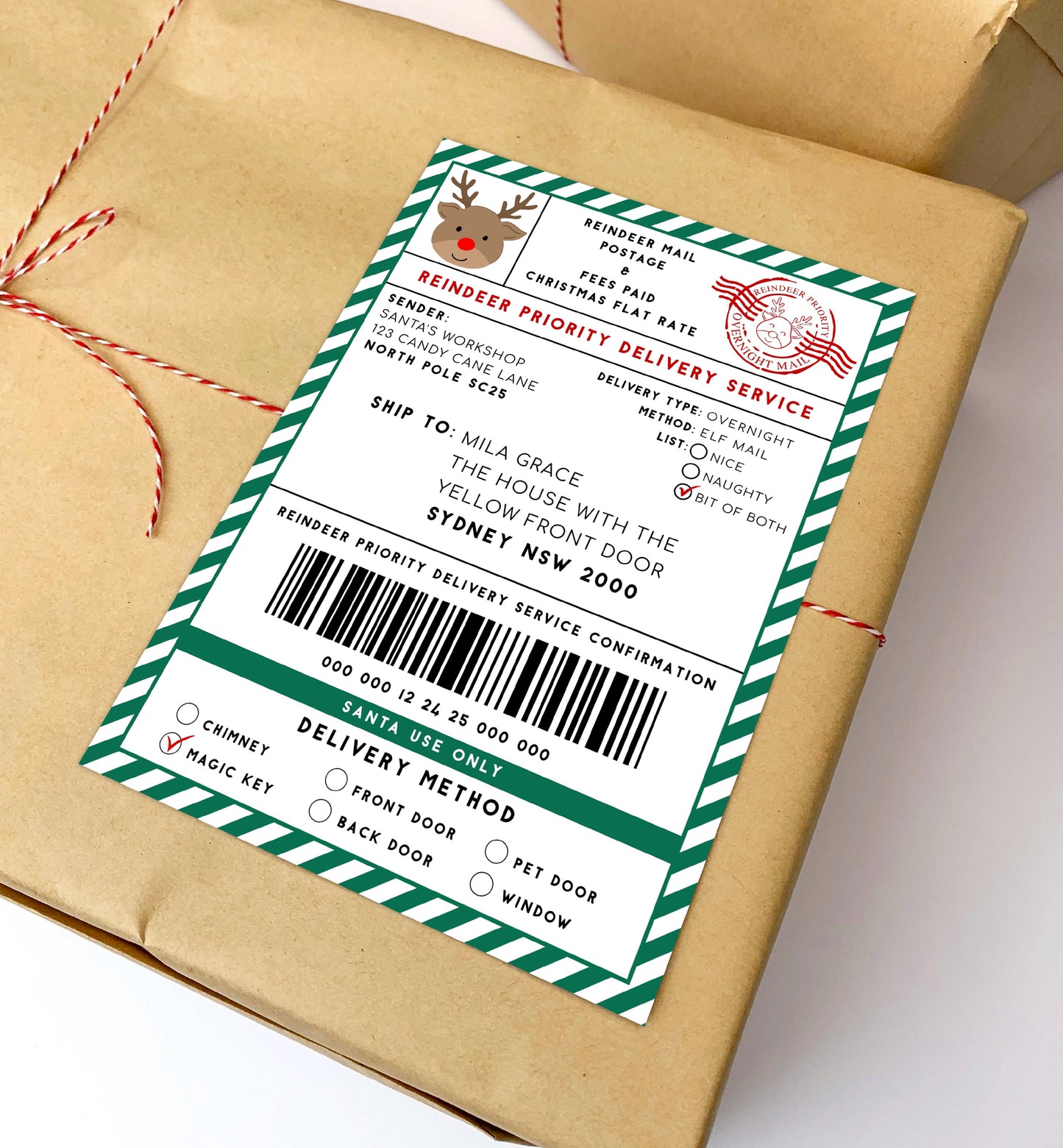 Printable Reindeer Mail North Pole Shipping Label Sticker, Christmas Special Delivery Shipping Label Template, Christmas Gift Tag, Green