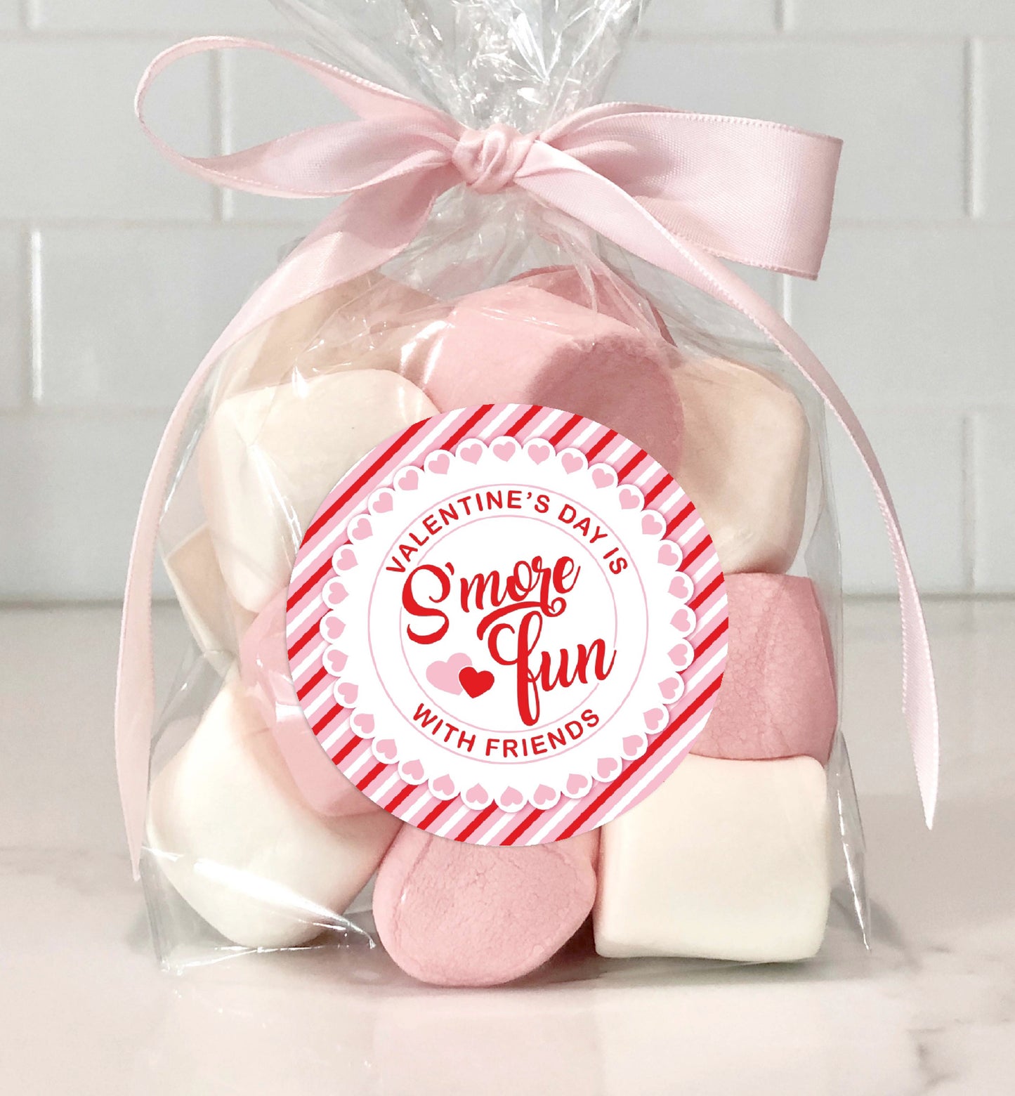 Valentine's Day S'more Tag, Printable Valentine's Day Is S'more Fun With Friends Gift Tag, Friends Classroom Valentine Gift Tag