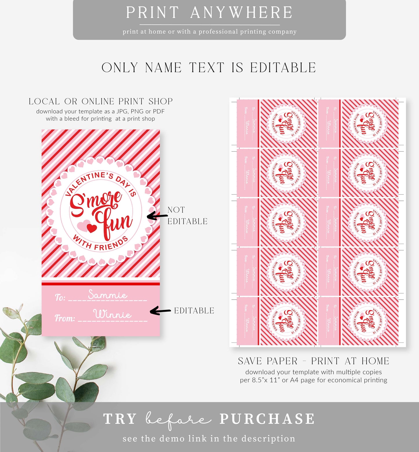 Stripe Red Pink | Printable S'More Fun Valentine Tag Template