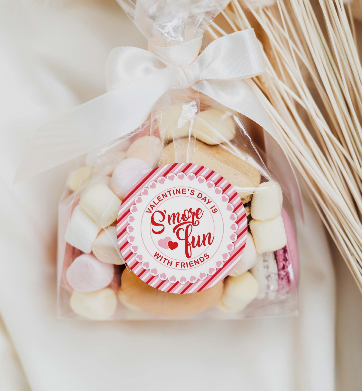 Valentine's Day S'more Tag, Printable Valentine's Day Is S'more Fun With Friends Gift Tag, Friends Classroom Valentine Gift Tag