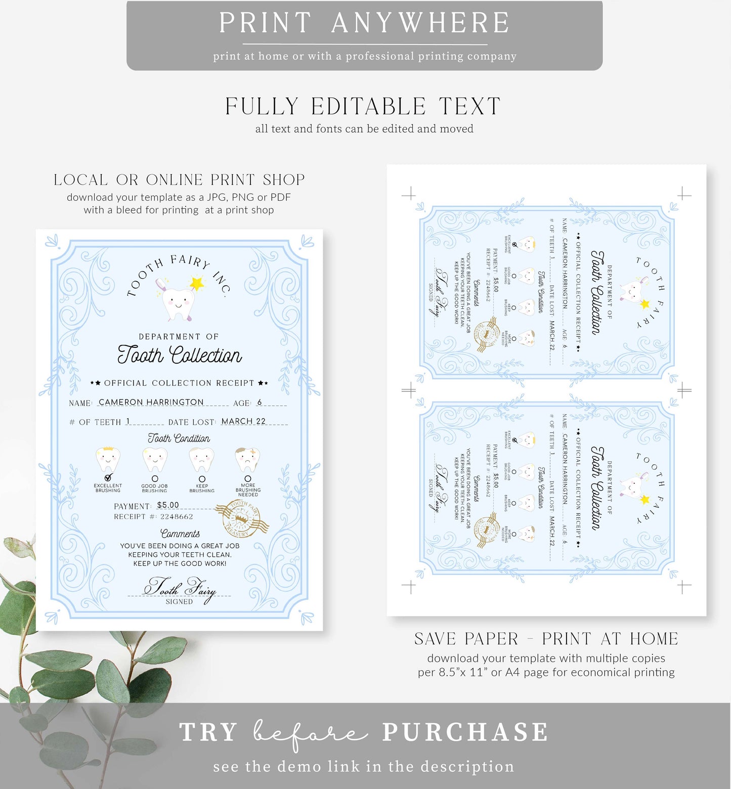 Tooth Fairy Blue White | Printable Tooth Collection Receipt Template
