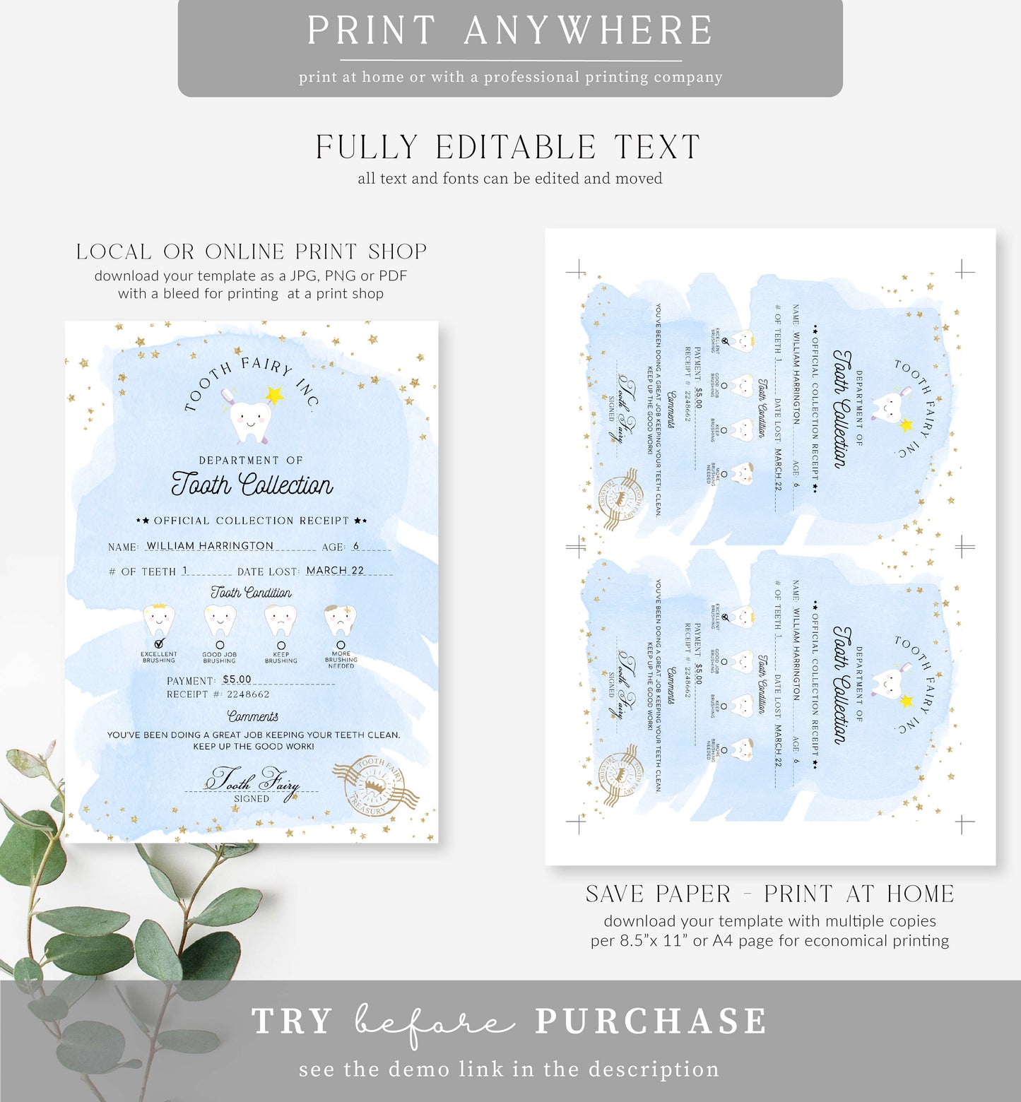 Tooth Fairy Blue | Printable Tooth Collection Letter and Receipt Template