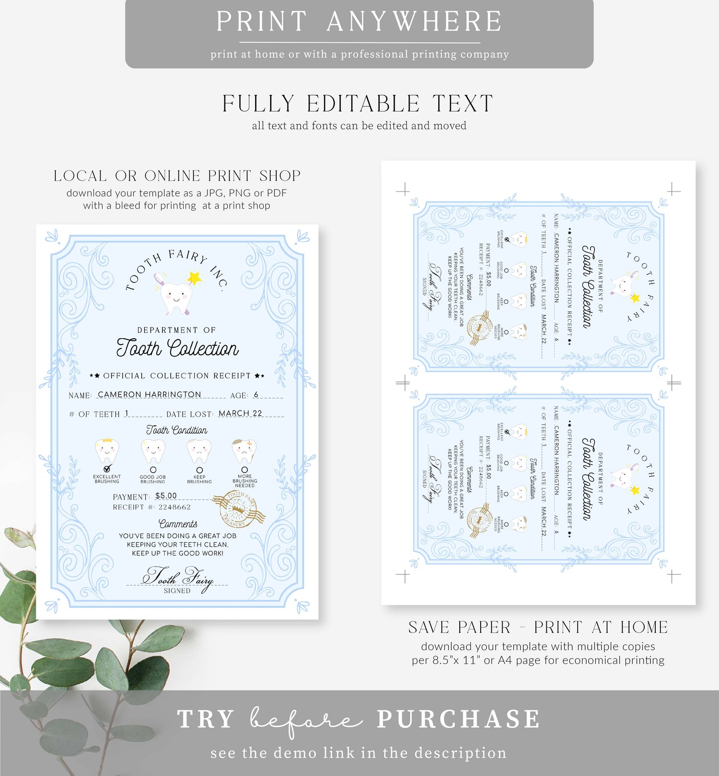 Tooth Fairy Blue White | Printable Tooth Collection Letter and Receipt Template