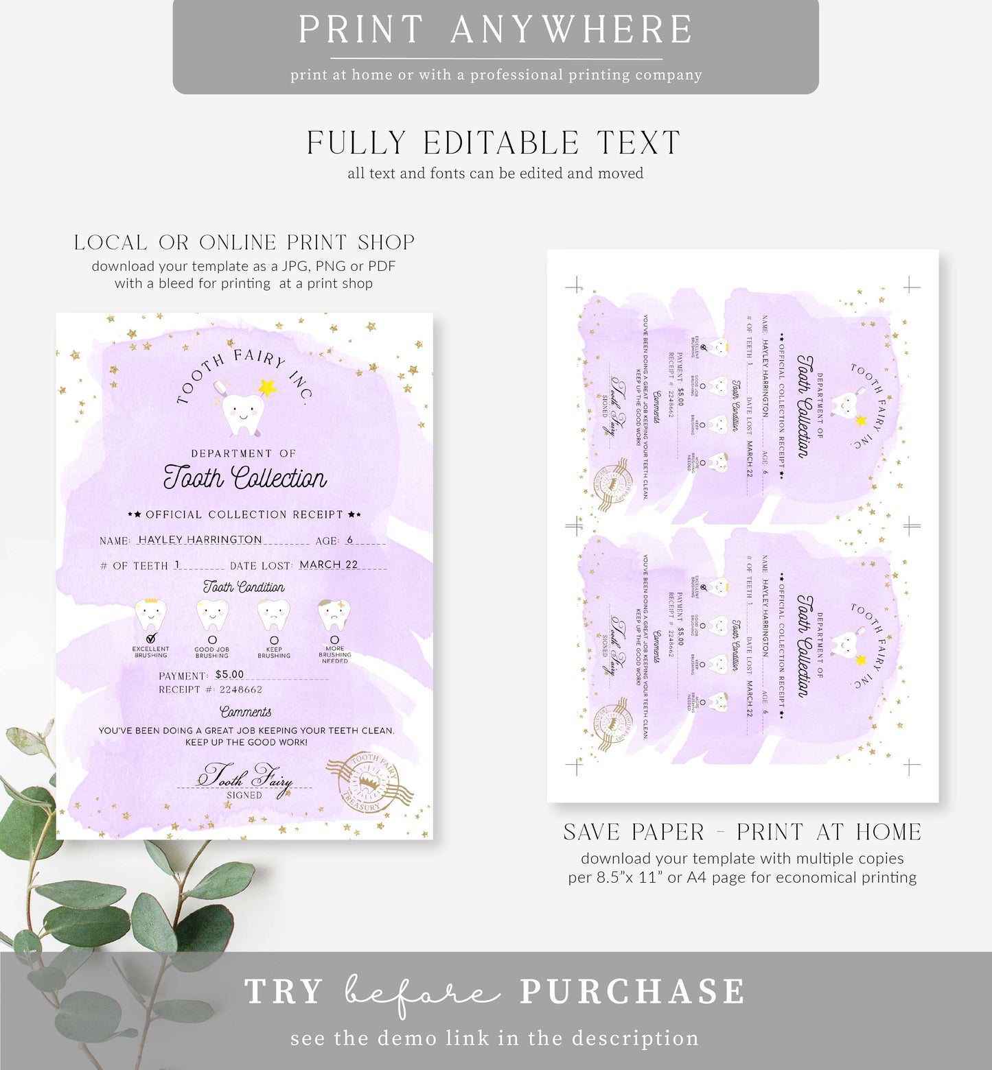 Tooth Fairy Purple | Printable Tooth Collection Letter and Receipt Template
