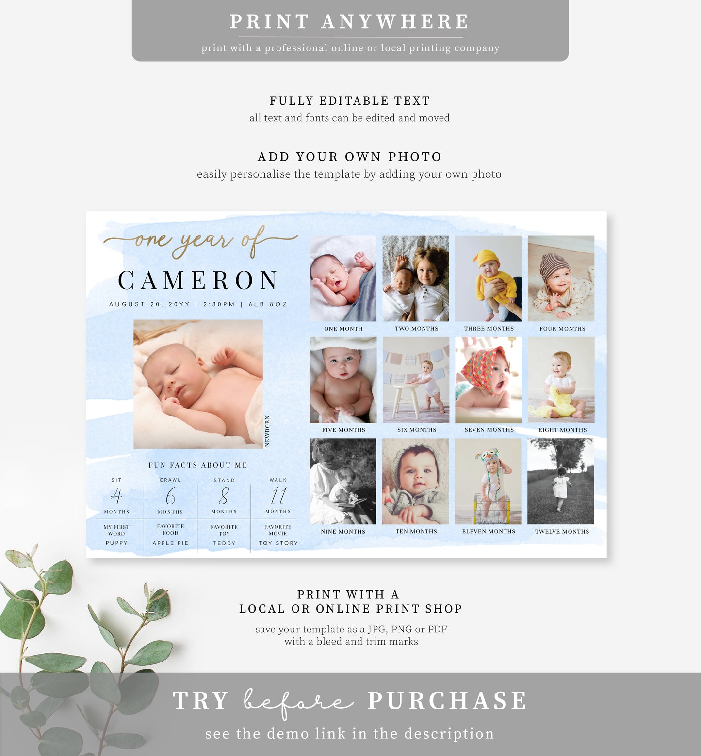 Watercolour Blue | Printable First Year Photo Timeline Sign Template
