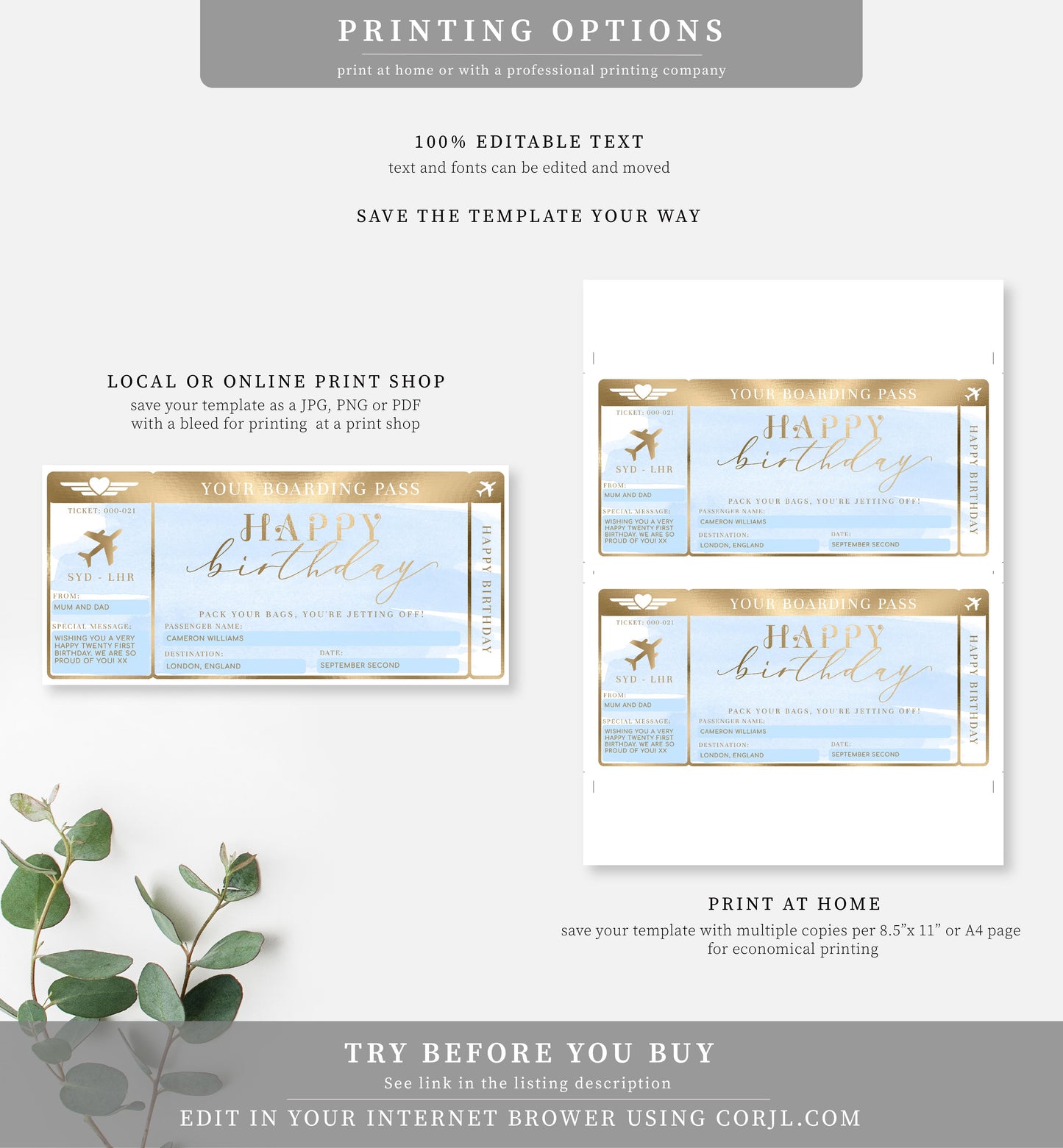 Watercolour Blue | Printable Birthday Boarding Pass - Black Bow Studio