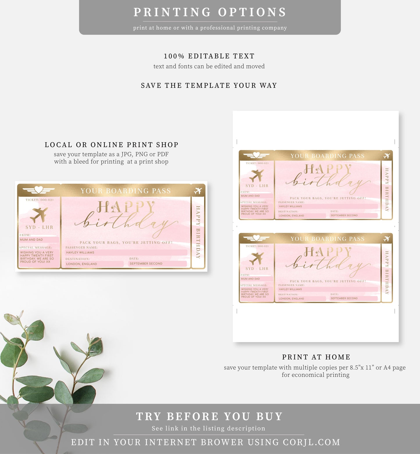 Watercolour Pink | Printable Birthday Boarding Pass - Black Bow Studio