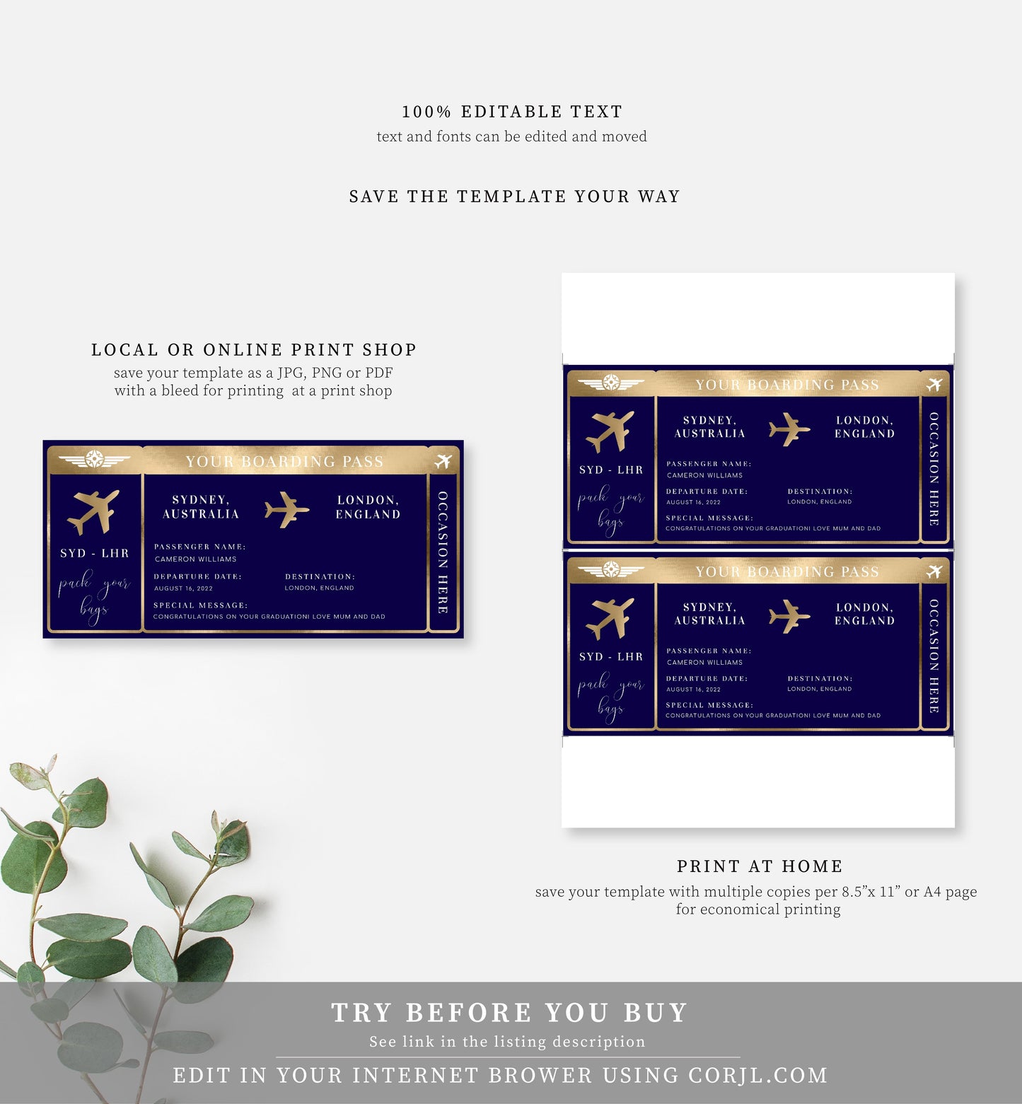 Paintly Navy Blue | Printable Boarding Pass - Black Bow Studio