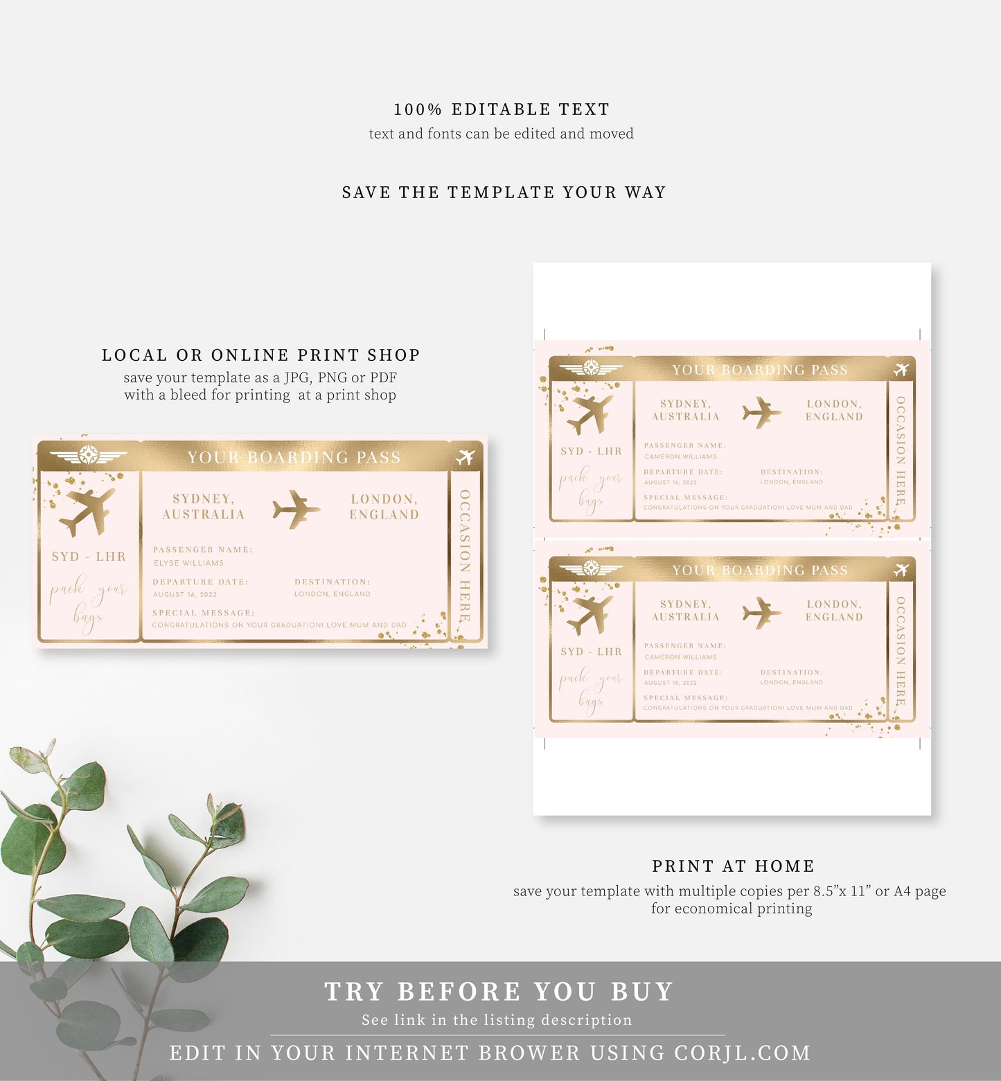 Paintly Pink | Printable Boarding Pass - Black Bow Studio