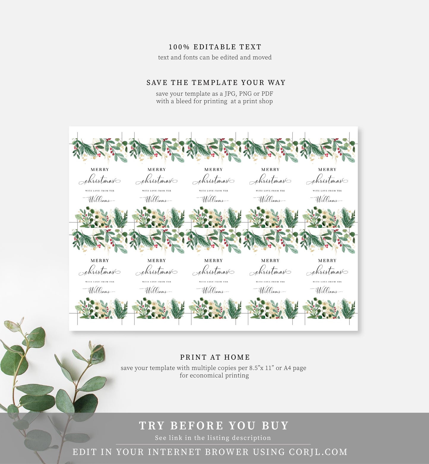 Merriment Christmas | Printable Christmas Gift Tag