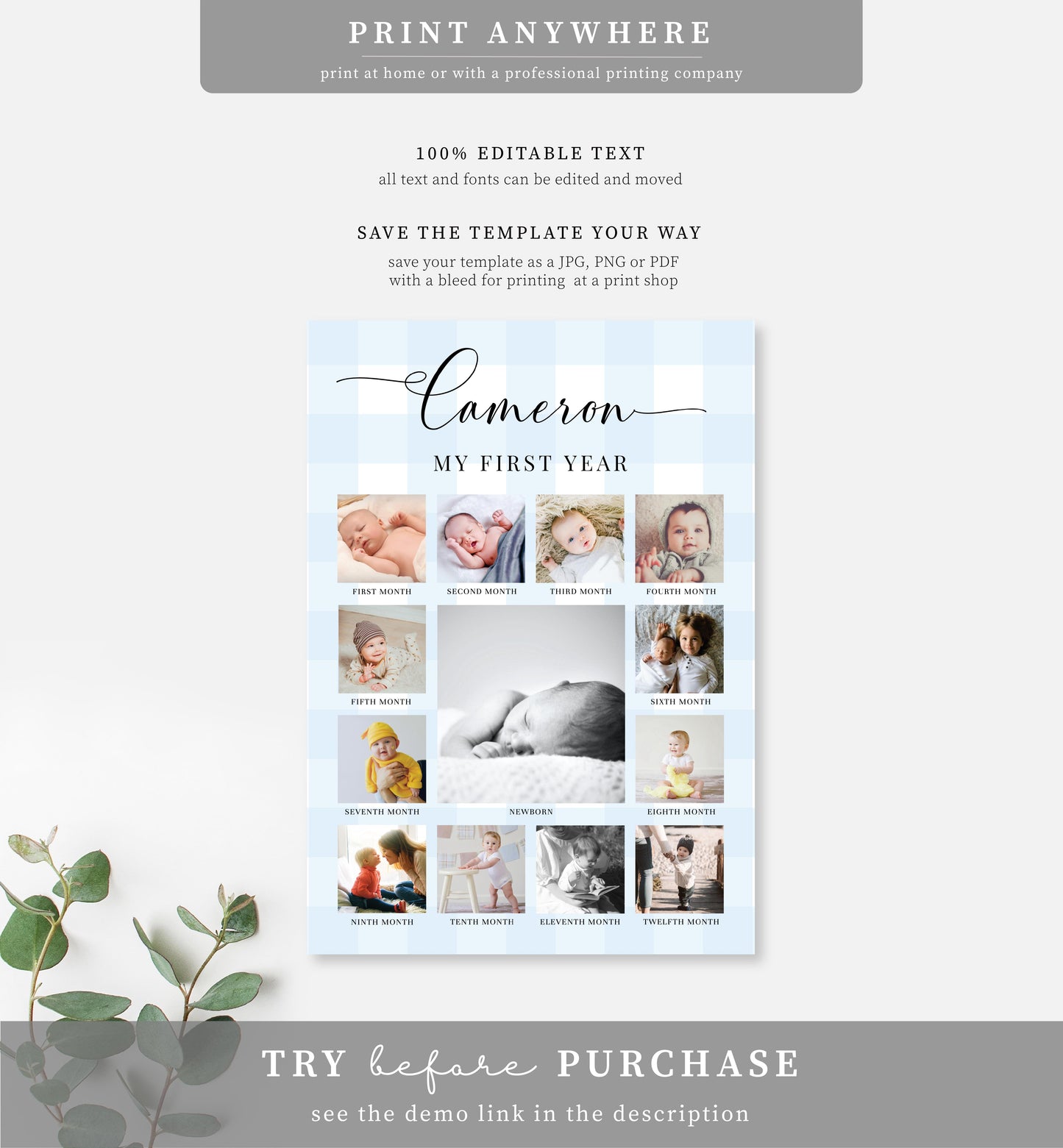 Gingham Blue | Printable My First Year Photo Timeline Sign Template