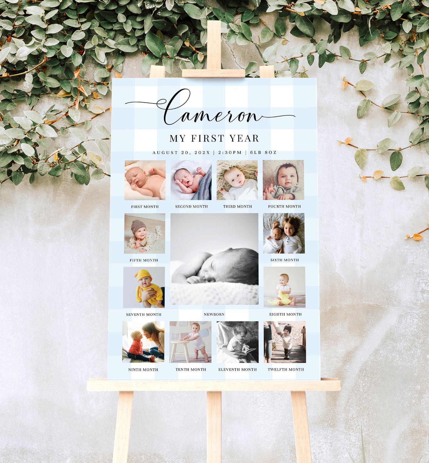 Gingham Blue | Printable My First Year Photo Timeline Sign Template