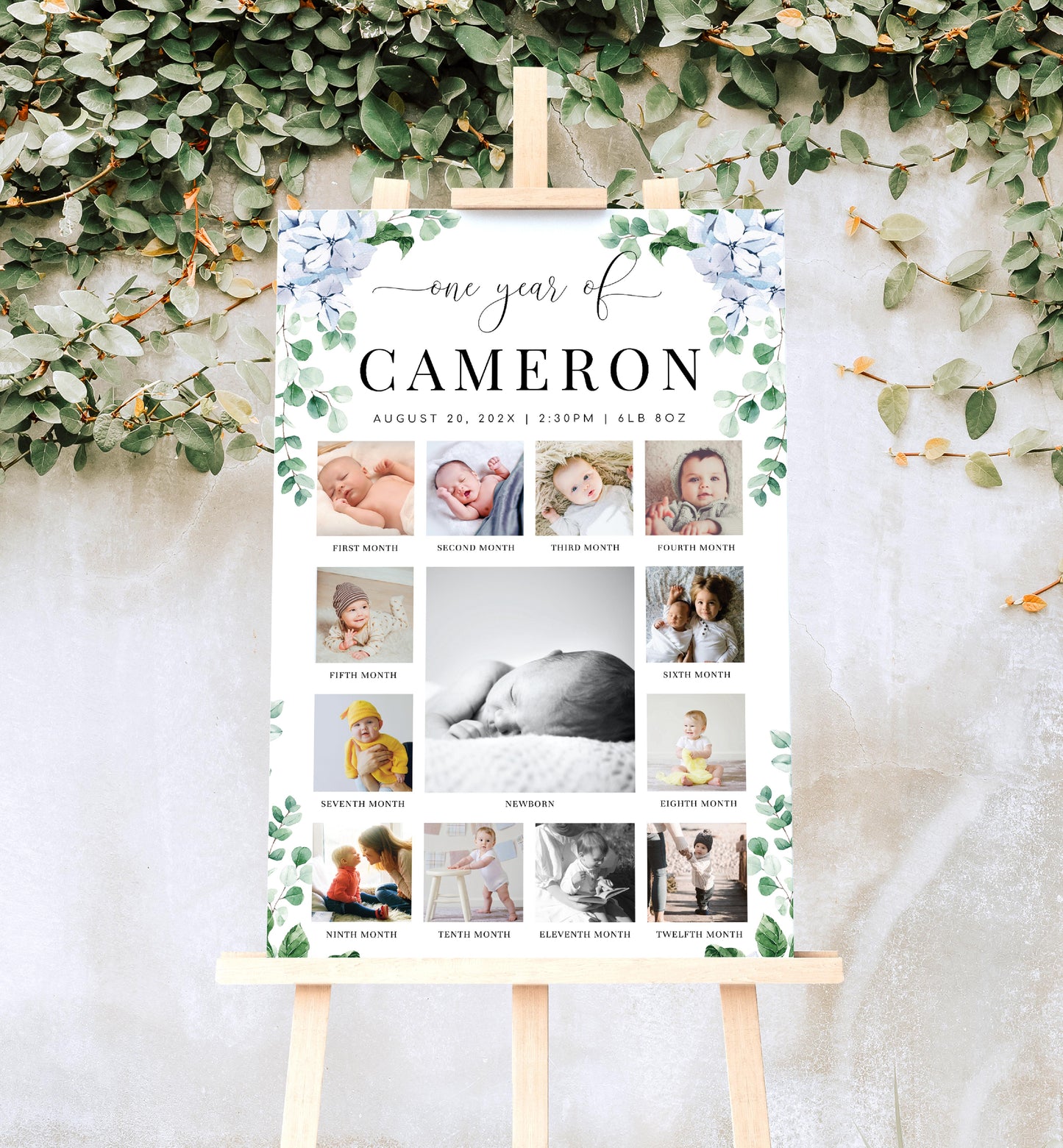Ferras Blossom Blue | Printable My First Year Photo Timeline Sign Template