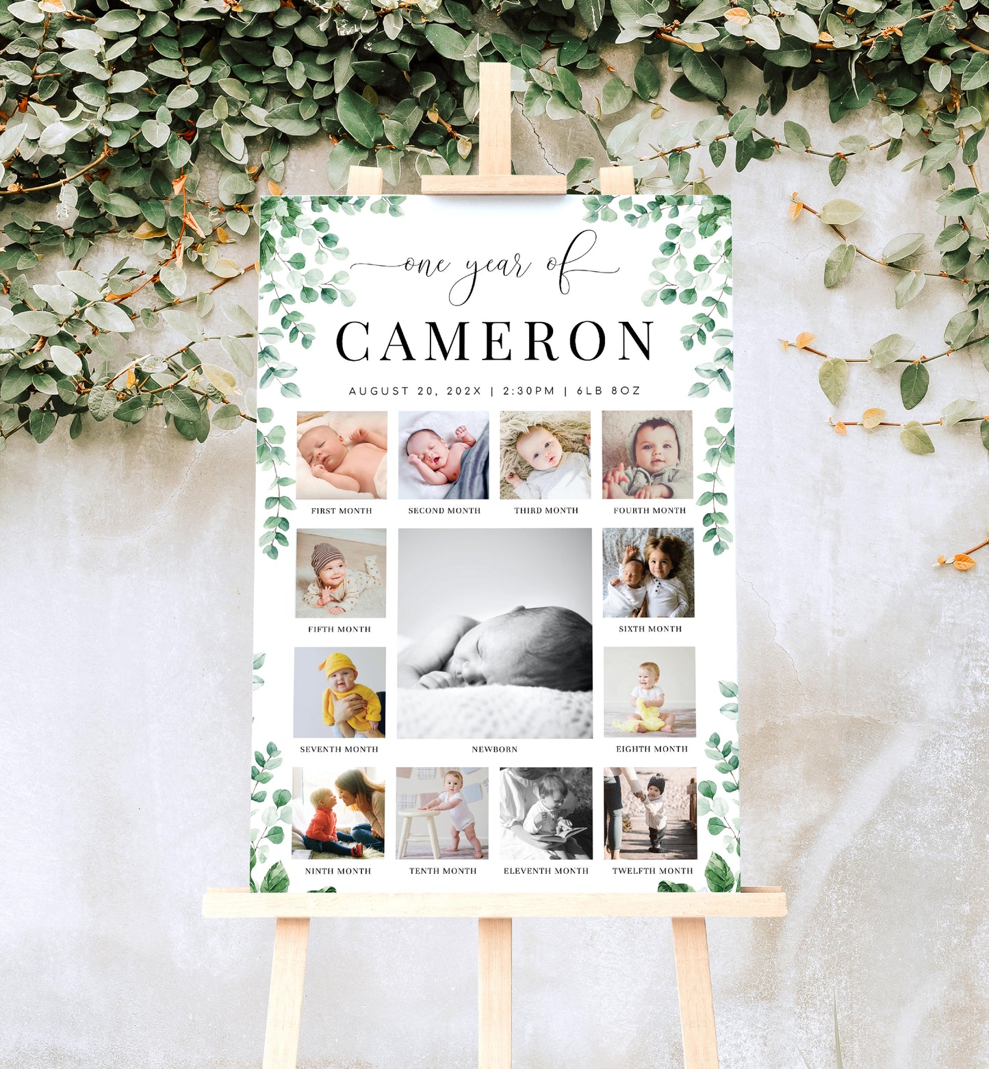 Ferras Greenery | Printable My First Year Photo Timeline Sign Template