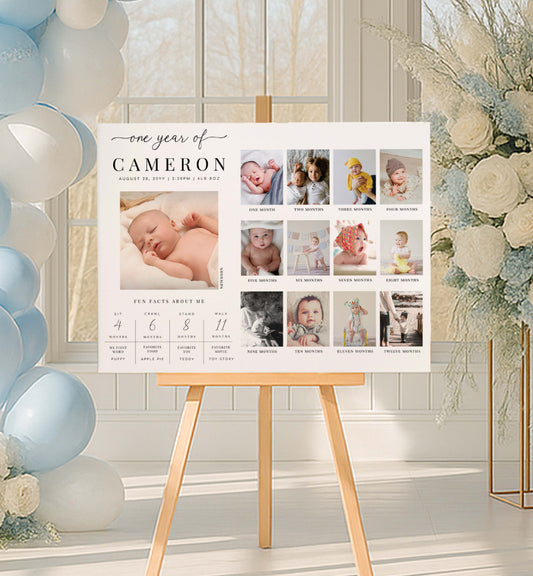 Baby milestone chart on an easel with balloons and flowers in the background.  First Birthday Milestone Photo Sign, Printable Baby's First Year Poster, 1st Birthday Photo Collage, 12 Months Milestone Photo Banner, Quinn