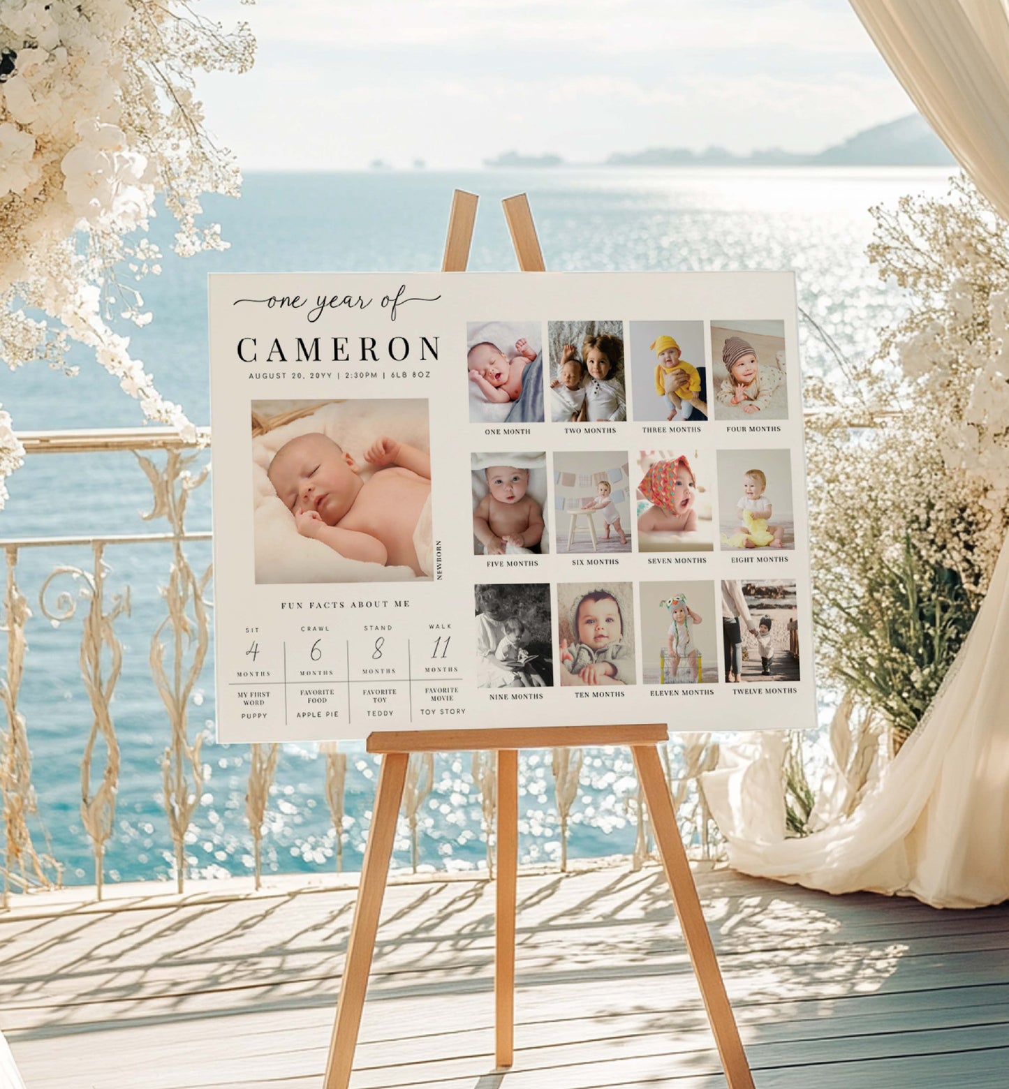 Calendar with baby photos on a stand by a scenic waterfront. First Birthday Milestone Photo Sign, Printable Baby's First Year Poster, 1st Birthday Photo Collage, 12 Months Milestone Photo Banner, Quinn