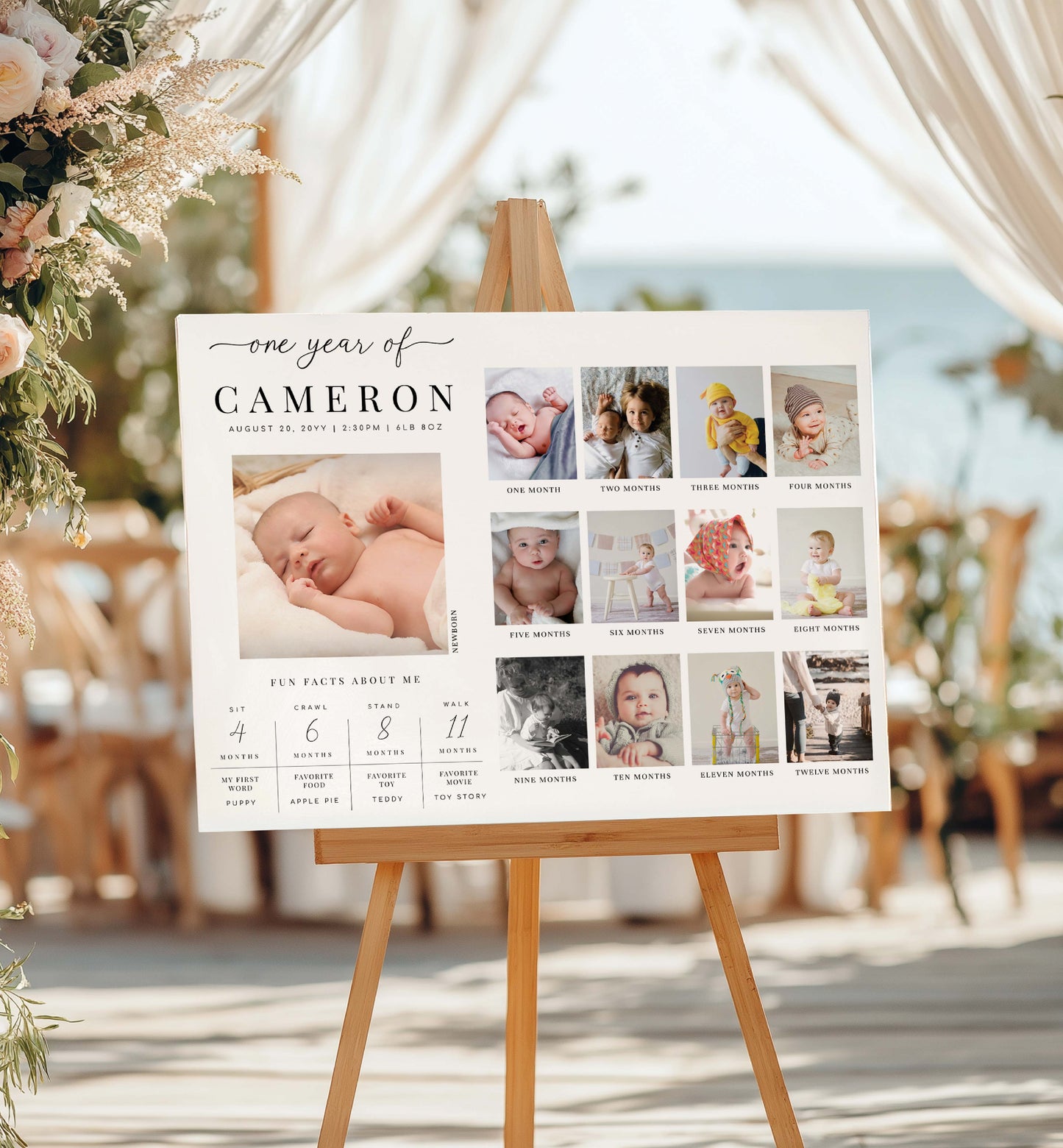 One-year milestone photo display for Cameron on a wooden easel with decorative background. First Birthday Milestone Photo Sign, Printable Baby's First Year Poster, 1st Birthday Photo Collage, 12 Months Milestone Photo Banner, Quinn