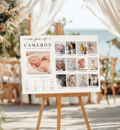 One-year milestone photo display for Cameron on a wooden easel with decorative background. First Birthday Milestone Photo Sign, Printable Baby's First Year Poster, 1st Birthday Photo Collage, 12 Months Milestone Photo Banner, Quinn