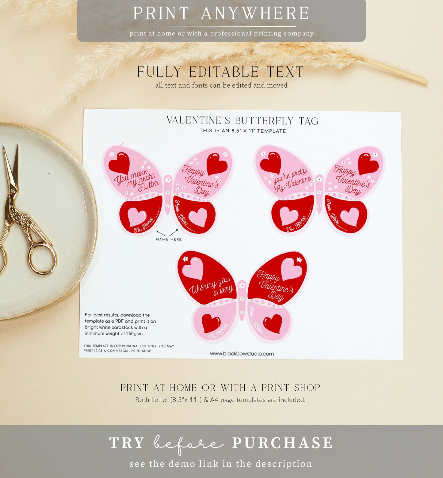 Stripe Red Pink | Printable Butterfly Valentine Lollipop Tag Template
