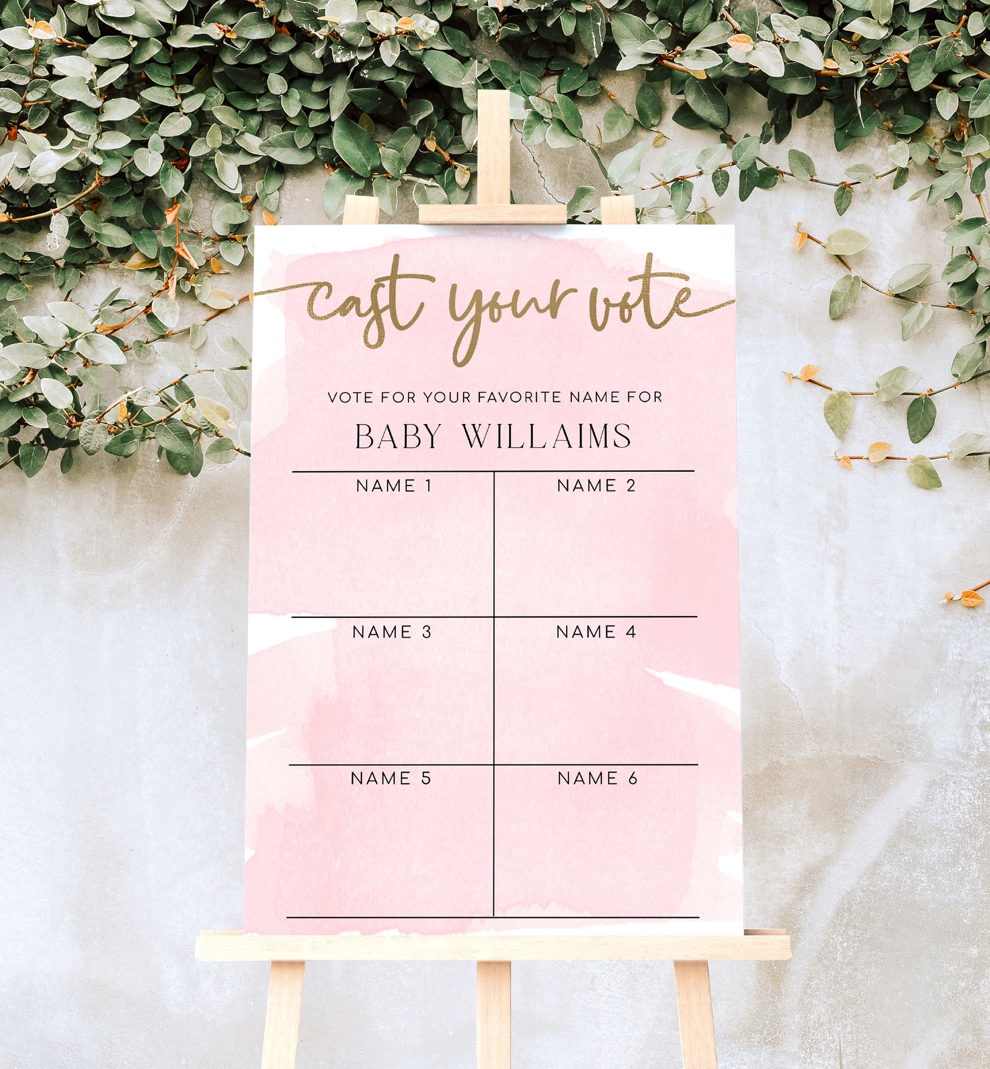 Cast Your Vote Baby Name Voting Poster Template, Pink Watercolour Guess The Baby Name Voting Sign, Printable Girl Baby Shower Game Sign