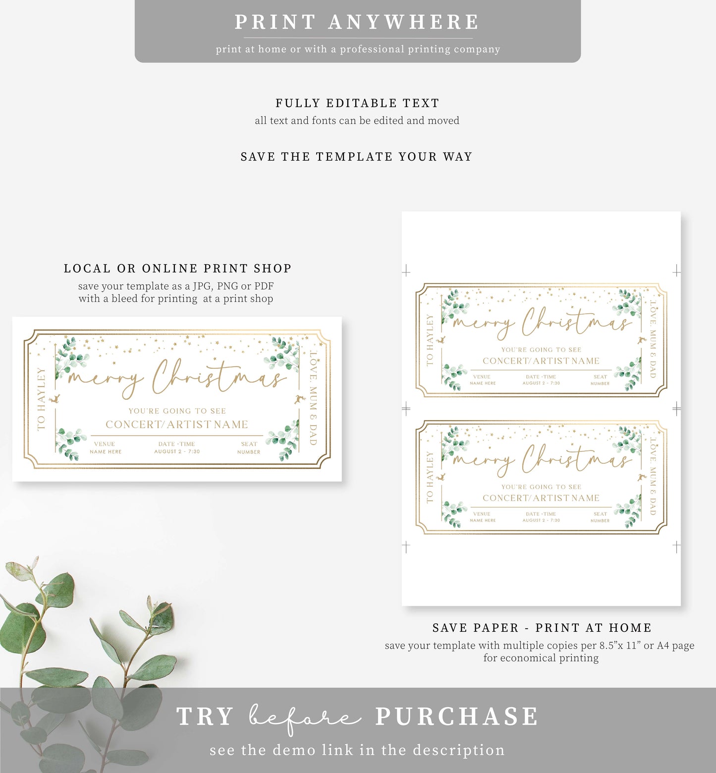 Ferras Green | Printable Christmas Concert Custom Gift Voucher Template