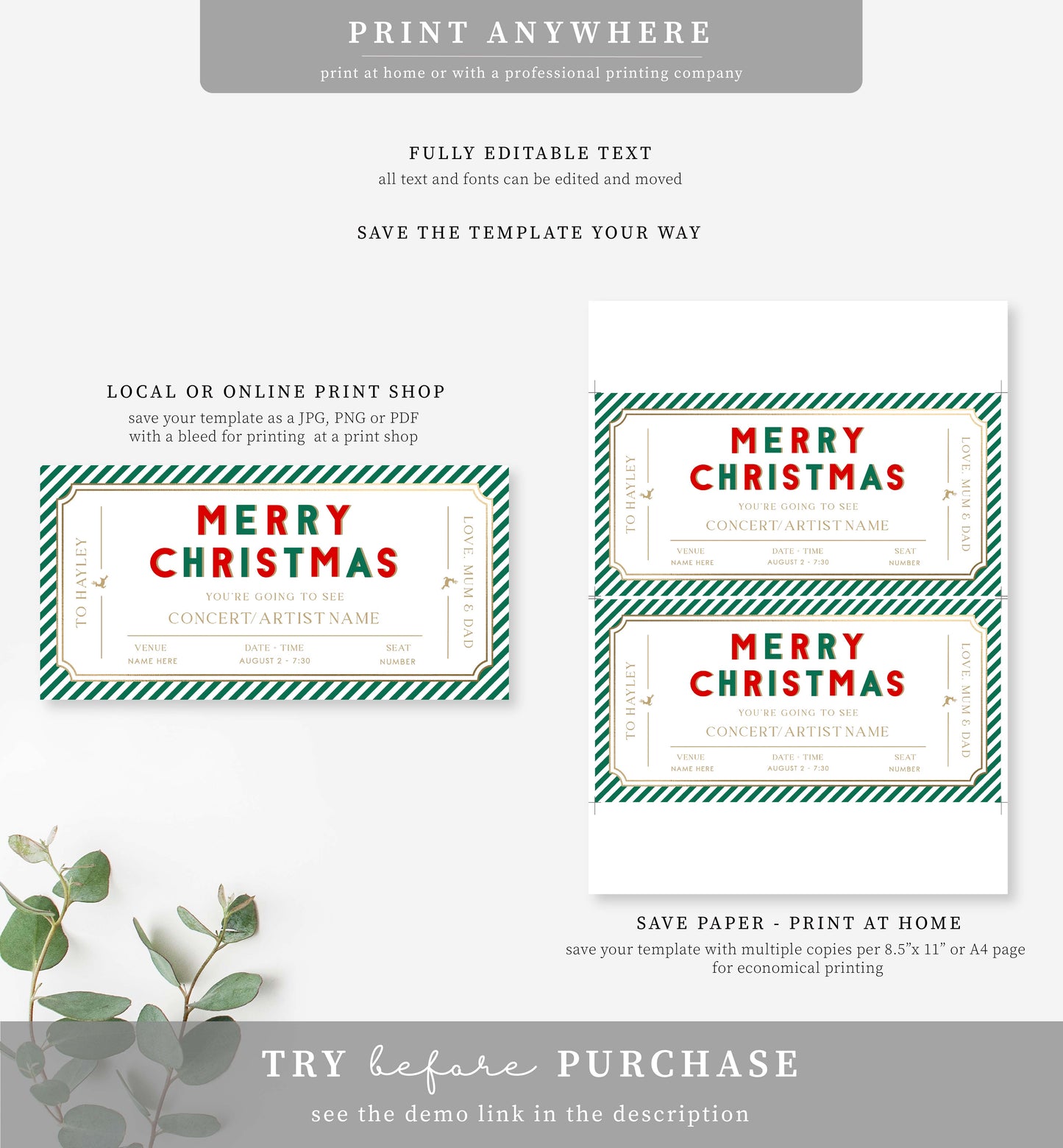 Stripe Green Red | Printable Christmas Concert Gift Voucher Template