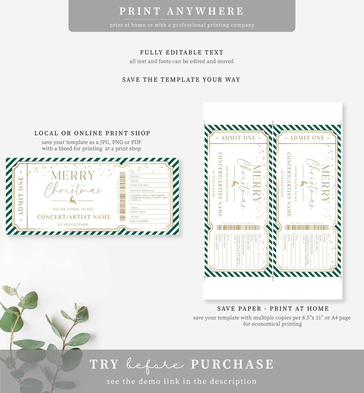 Stripe Green Gold | Printable Christmas Concert Custom Gift Voucher Template