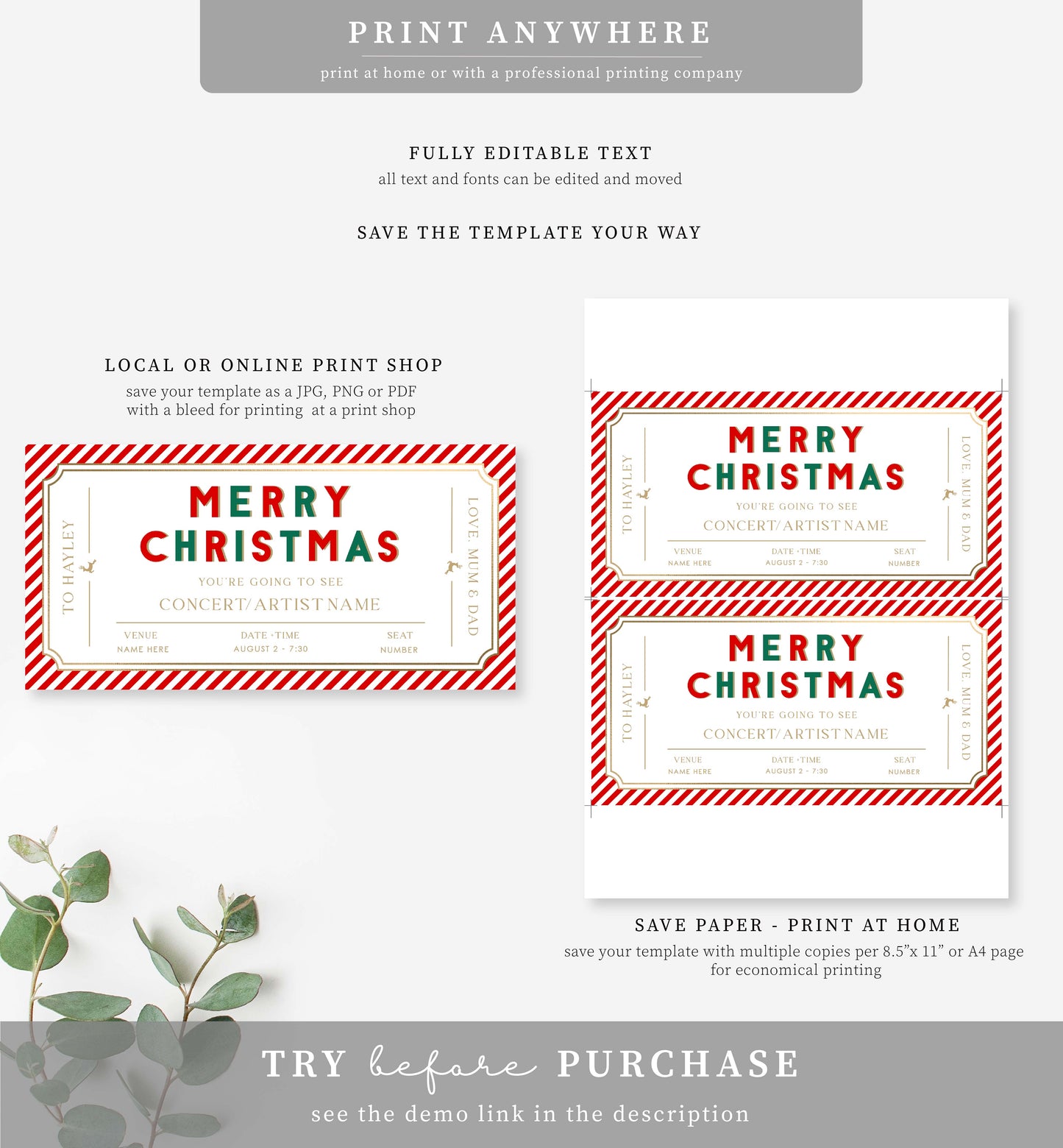 Stripe Red Green | Printable Christmas Concert Gift Voucher Template