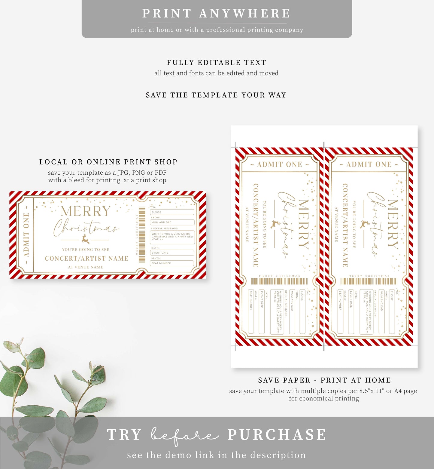 Stripe Red Gold | Printable Christmas Concert Custom Gift Voucher Template