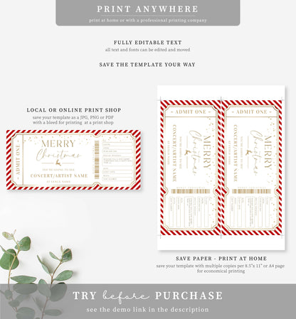 Stripe Red Gold | Printable Christmas Concert Custom Gift Voucher Template