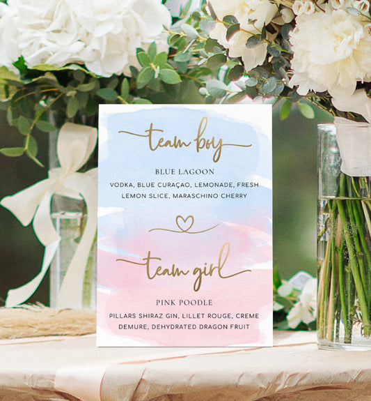 Watercolour Pink Blue | Printable Team Girl Boy Drinks Sign Template