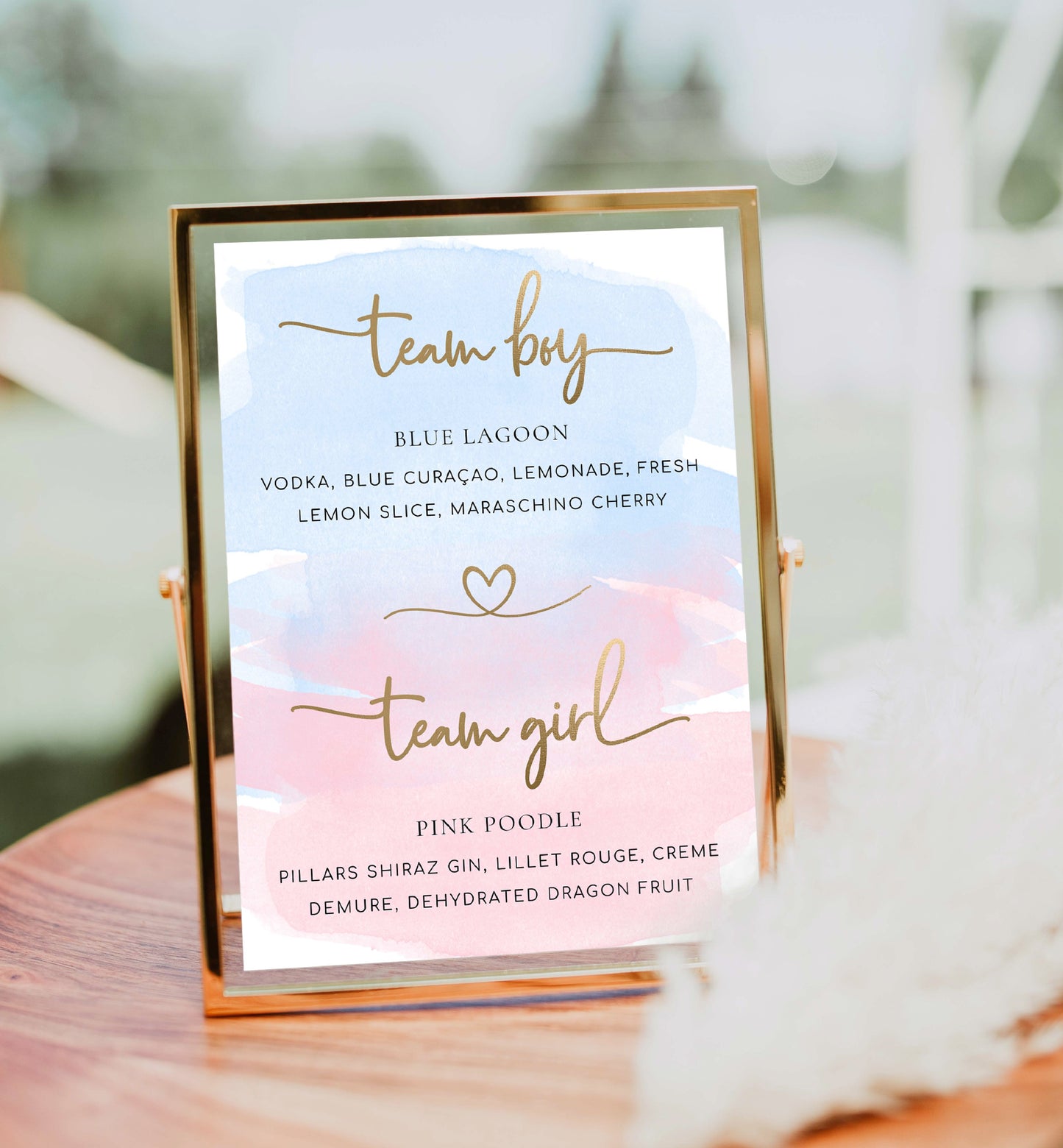 Watercolour Pink Blue | Printable Team Girl Boy Drinks Sign Template