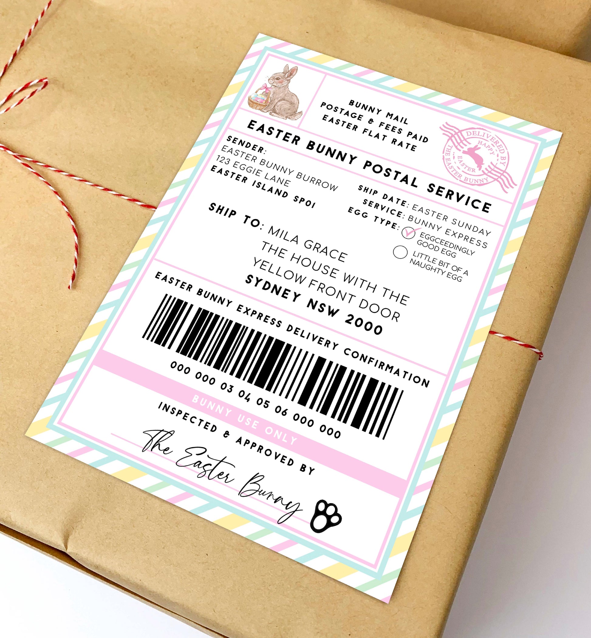 Printable Easter Bunny Shipping Label, Special Delivery Gift Tag, Easter Bunny Postal Label, Gift Tag, From The Easter Bunny Gift Tag