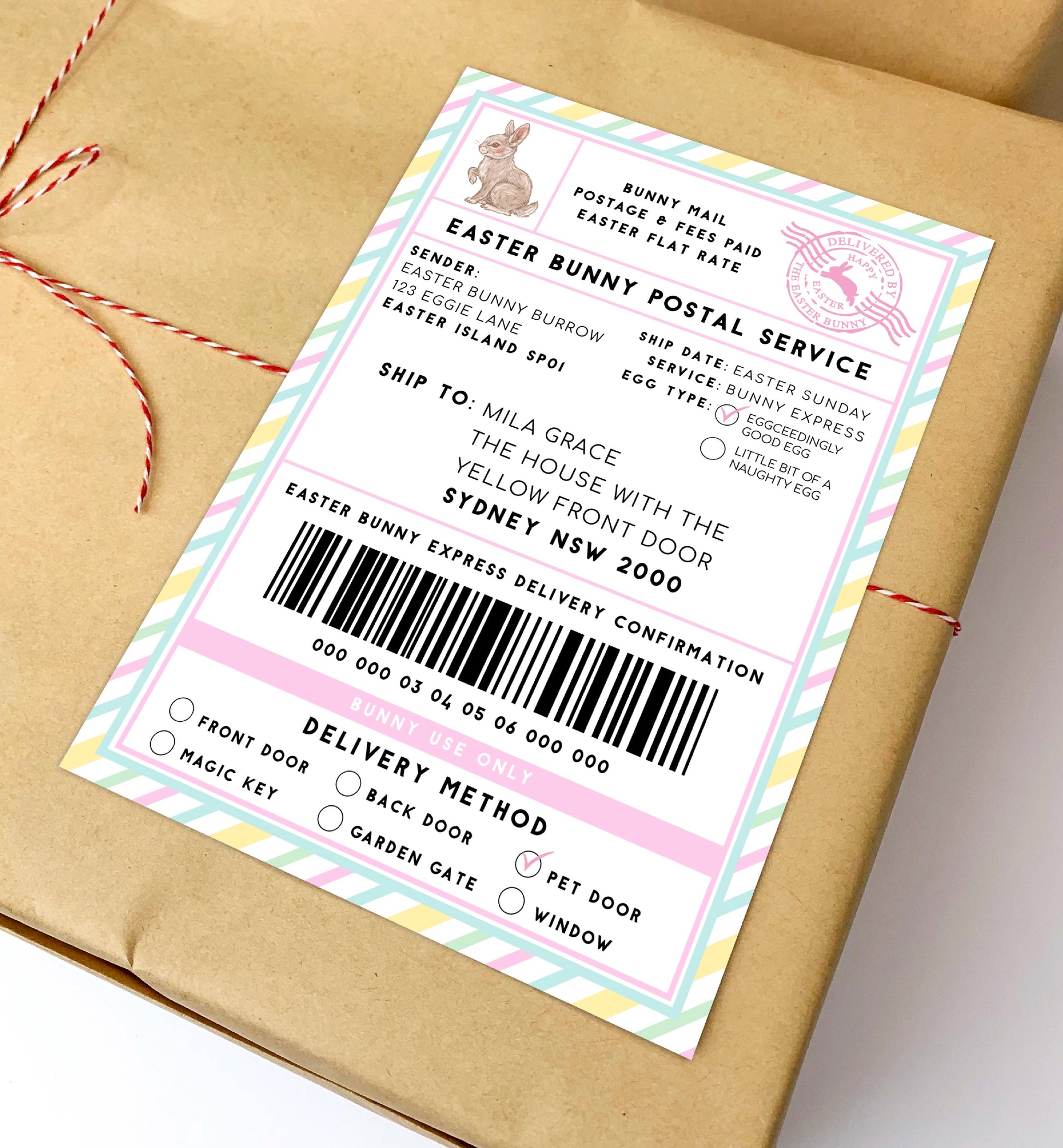 Printable Easter Bunny Shipping Label, Special Delivery Gift Tag, Easter Bunny Postal Label, Gift Tag, From The Easter Bunny Gift Tag