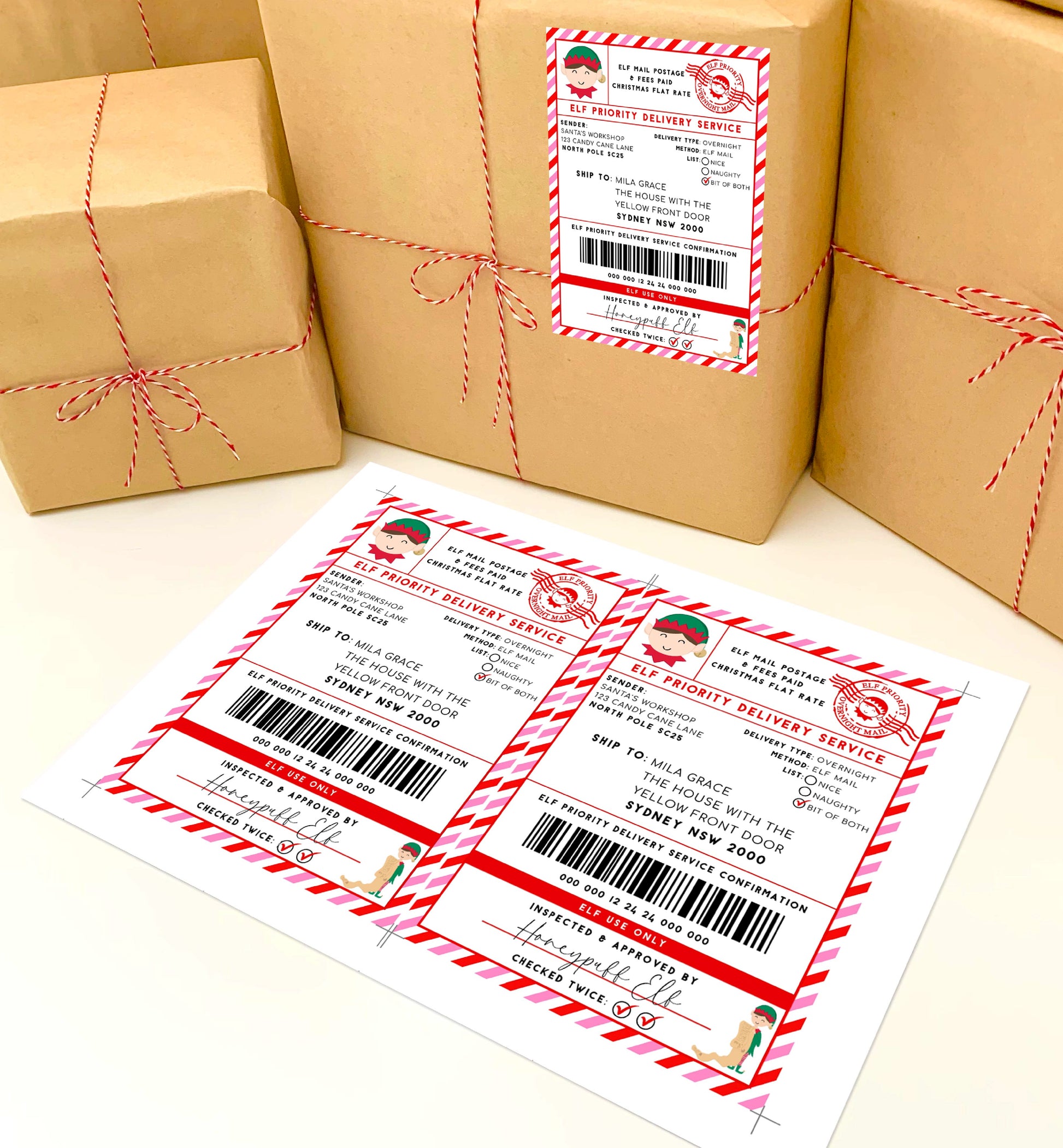 Printable Elf Arrival Box Shipping Label Sticker, North Pole Elf Mail Gift Tag, Santa's Workshop Christmas Special Delivery Shipping Label