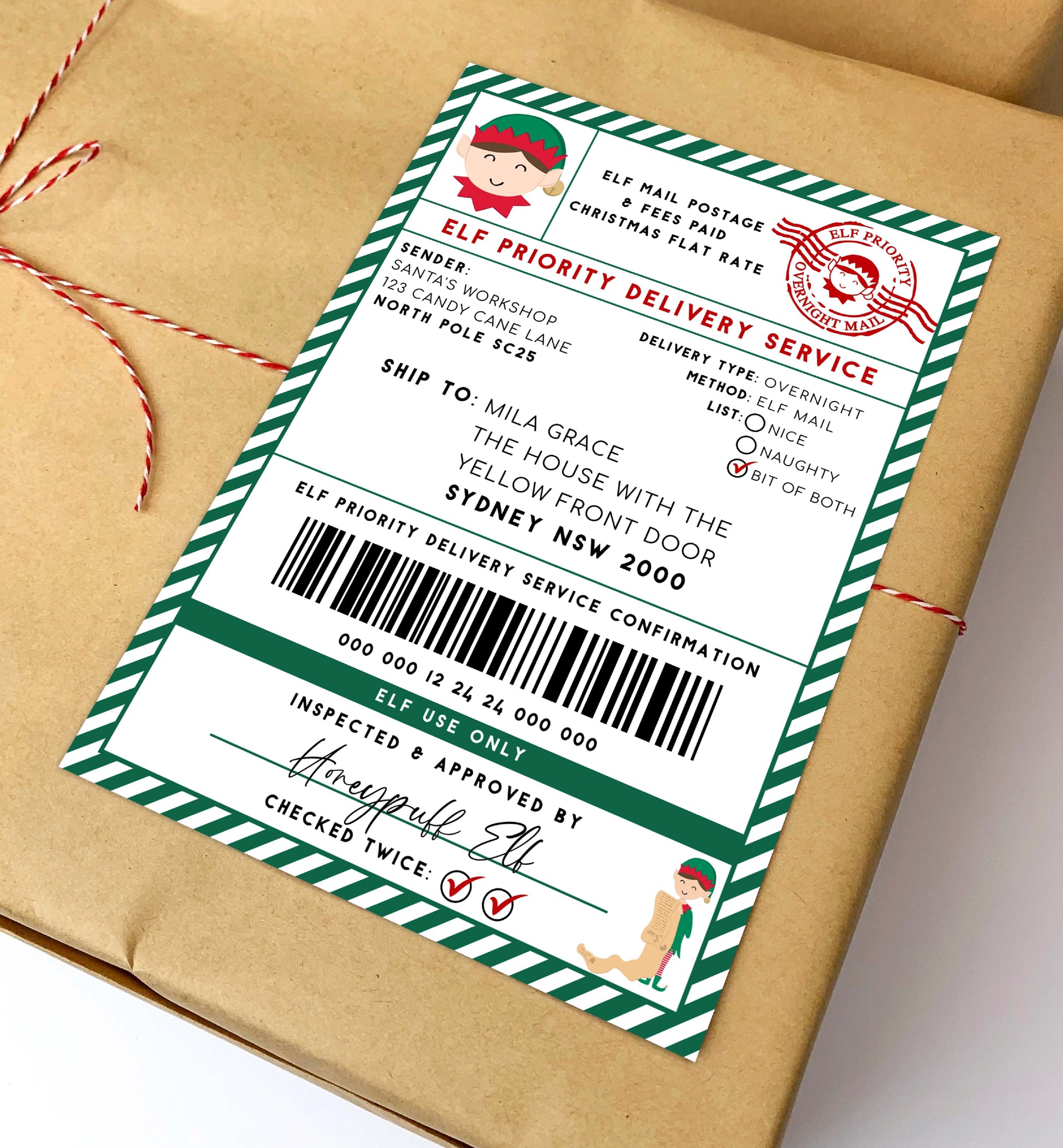 Printable Elf Mail Shipping Label Sticker, North Pole Mail Gift Tag, Santas Workshop Christmas Special Delivery Shipping Label, Gift Tag, Elf Delivery Stamp, Elf Arrival Label