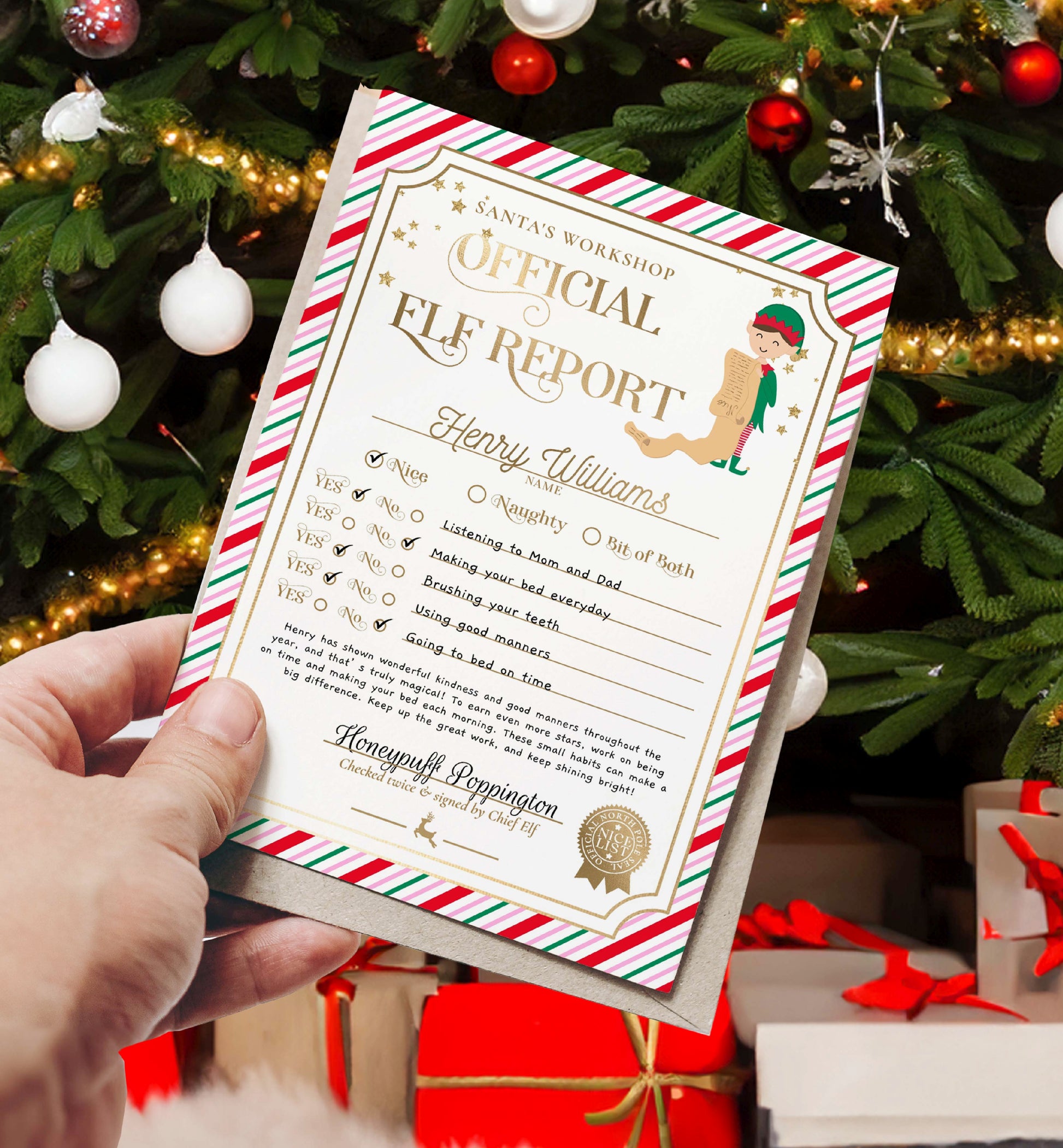 Printable Elf Report Card Template, North Pole Elf Mail Report Letter, Santa's Workshop Christmas Elf Arrival Box, Stripe