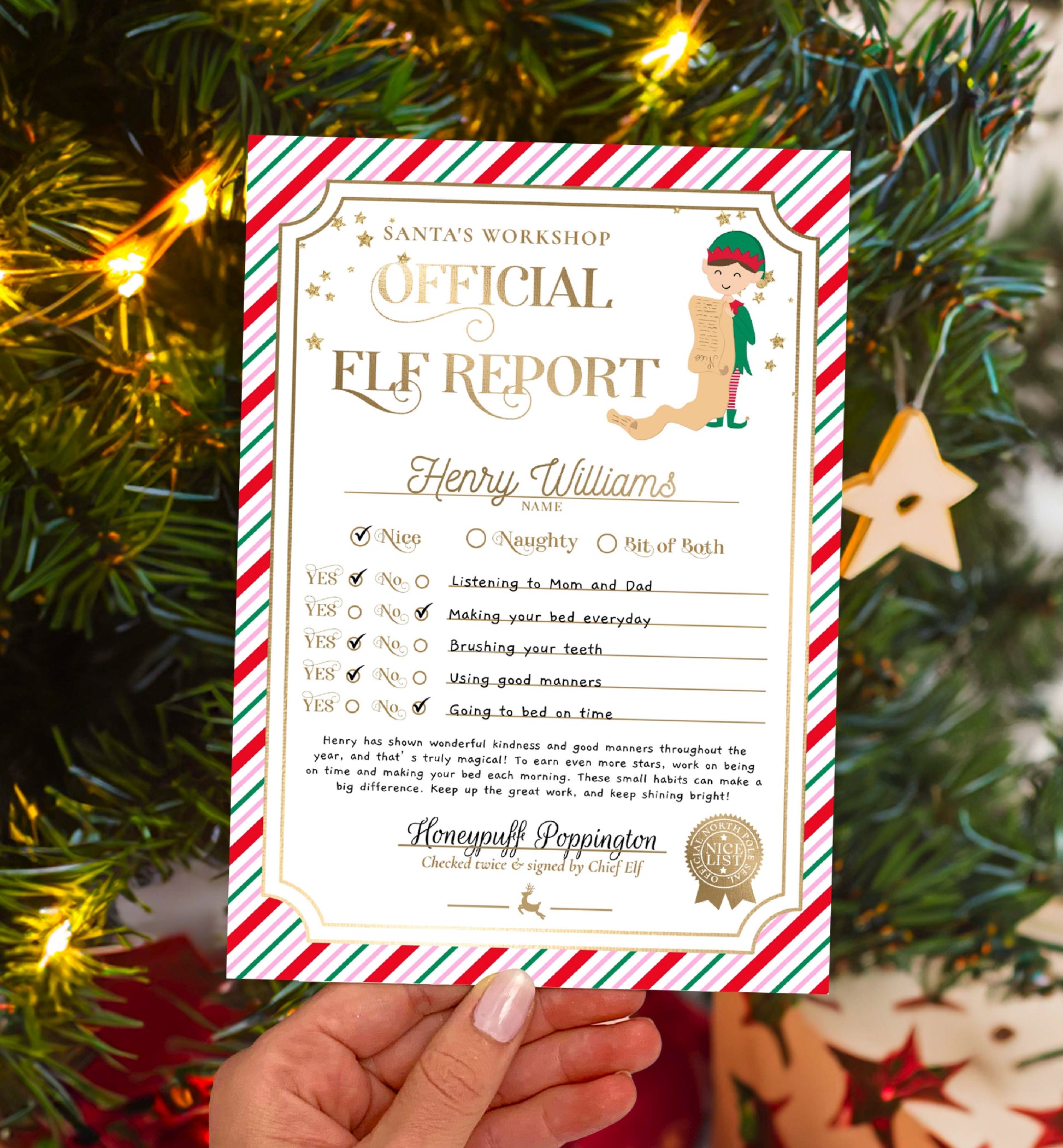 Printable Elf Report Card Template, North Pole Elf Mail Report Letter, Santa's Workshop Christmas Elf Arrival Box, Stripe