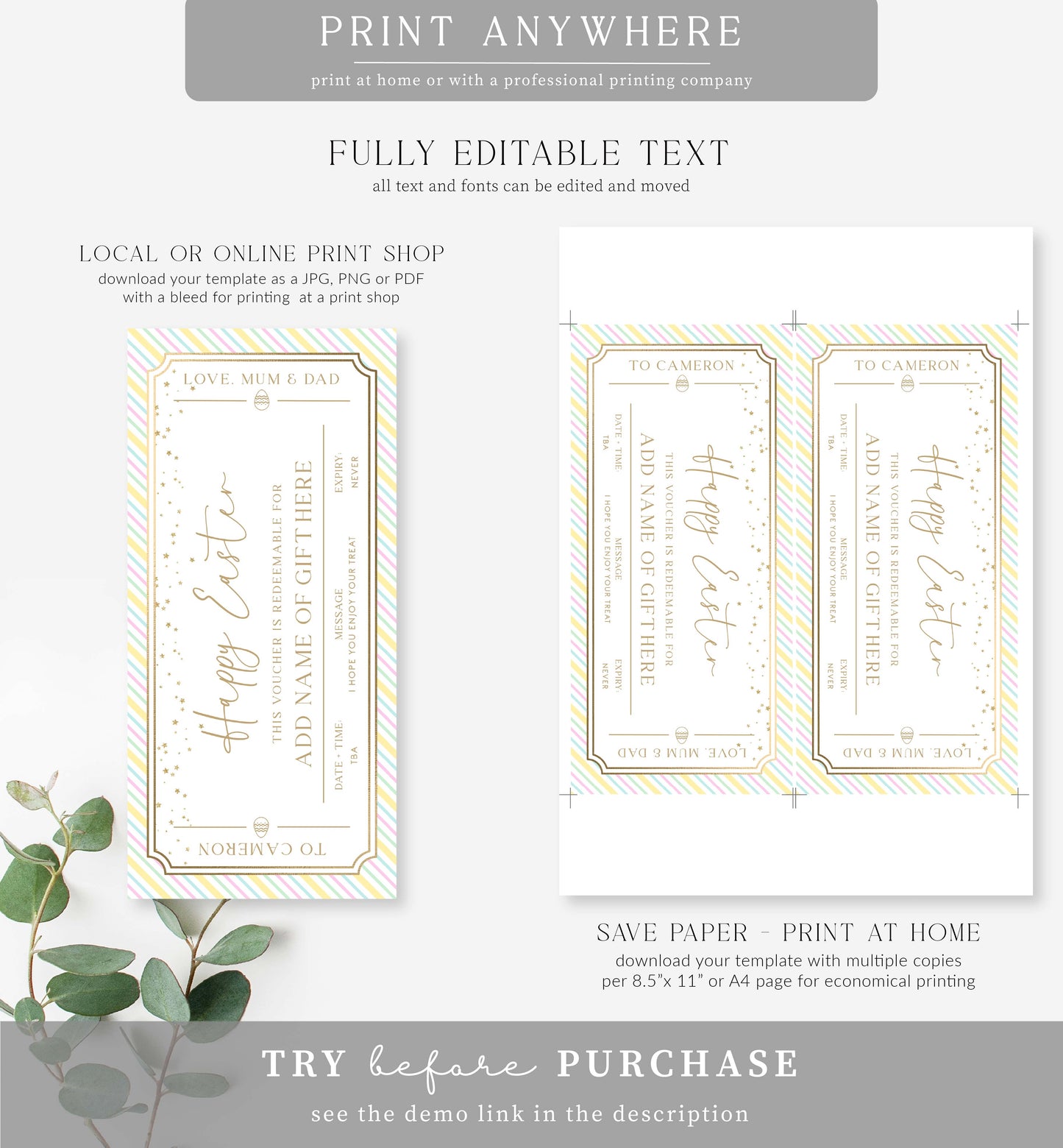 Paintly Multi Stripe | Printable Easter Custom Gift Voucher Template