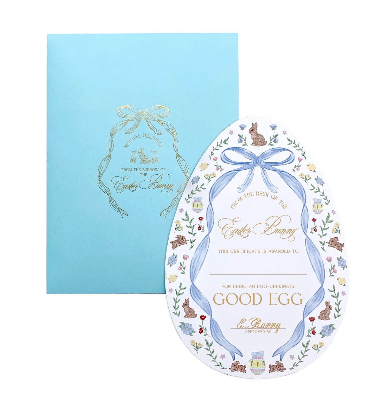 Easter Good Egg Certificate and Envelope, Easter Basket Gift, Approved By The Easter Bunny, From The Easter Bunny, Alternative Easter Gift
