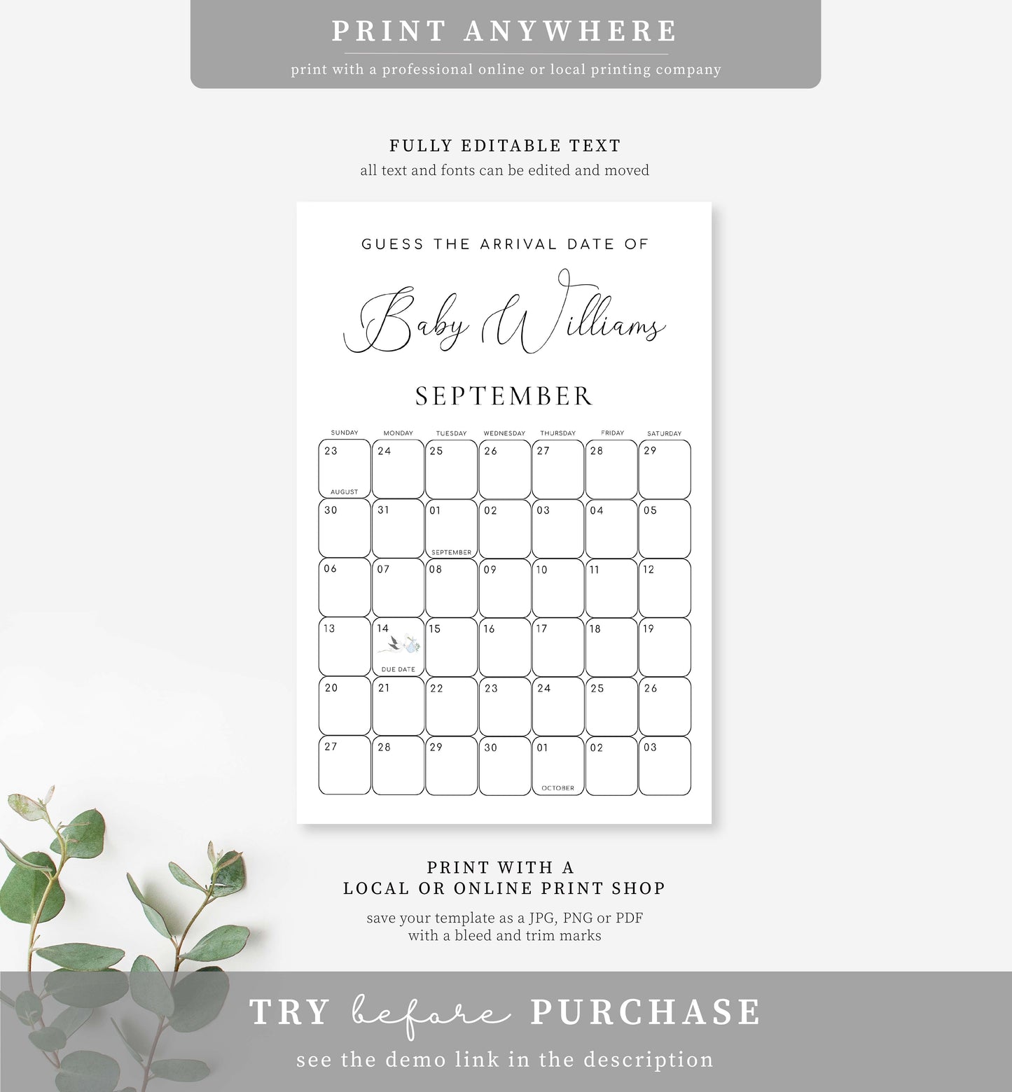 Quinn Script | Printable Arrival Date Baby Shower Game Sign Template