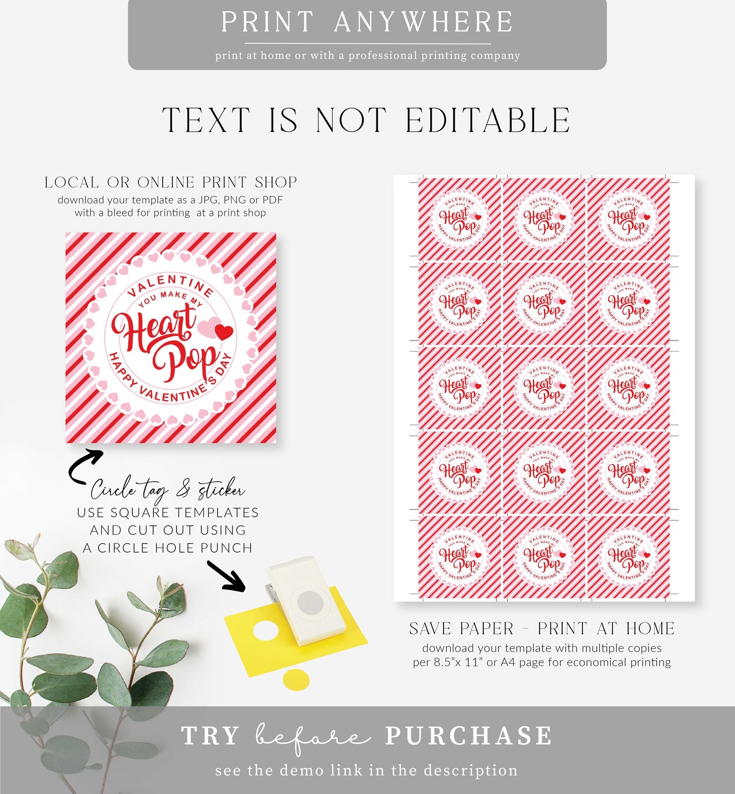 Stripe Red Pink | Printable Make My Heart Pop Valentine Tag Template