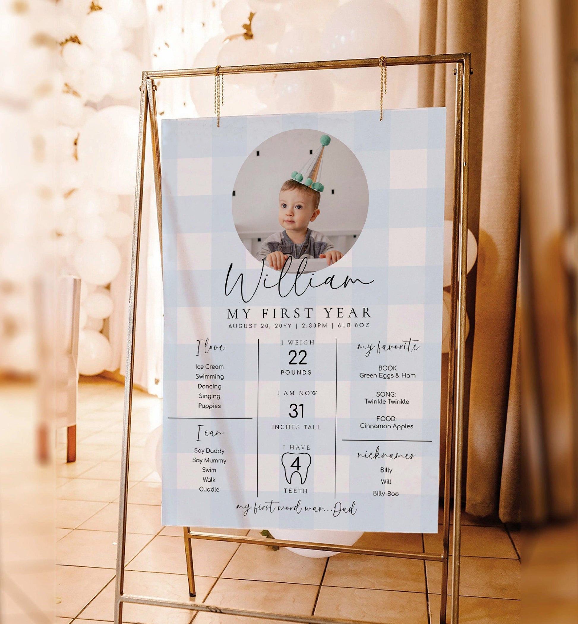 Printable Baby Milestone Board, Blue Gingham Check, Babys First Year Poster, 1st Birthday 12 Months Milestone Photo Banner Sign