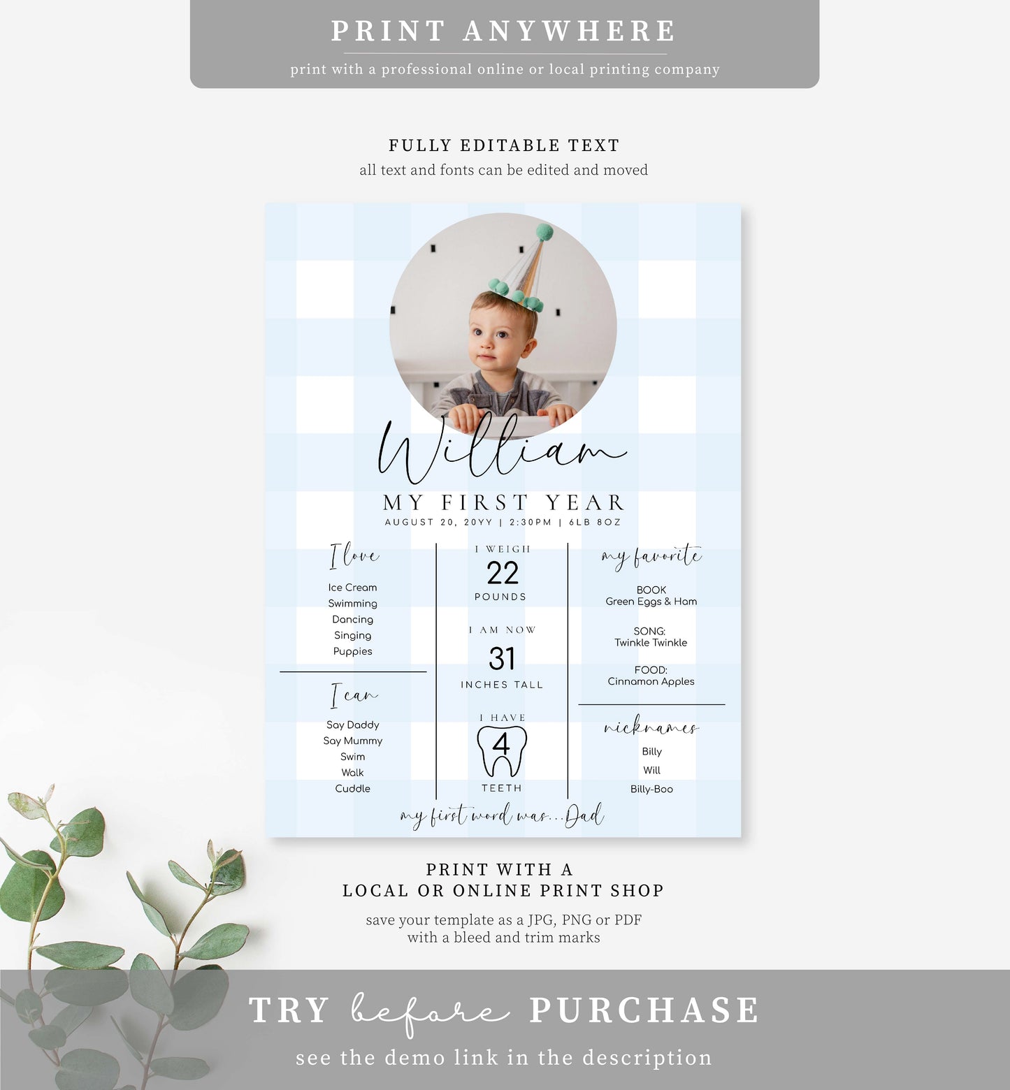 Gingham Blue | Printable First Birthday Milestone Sign Template