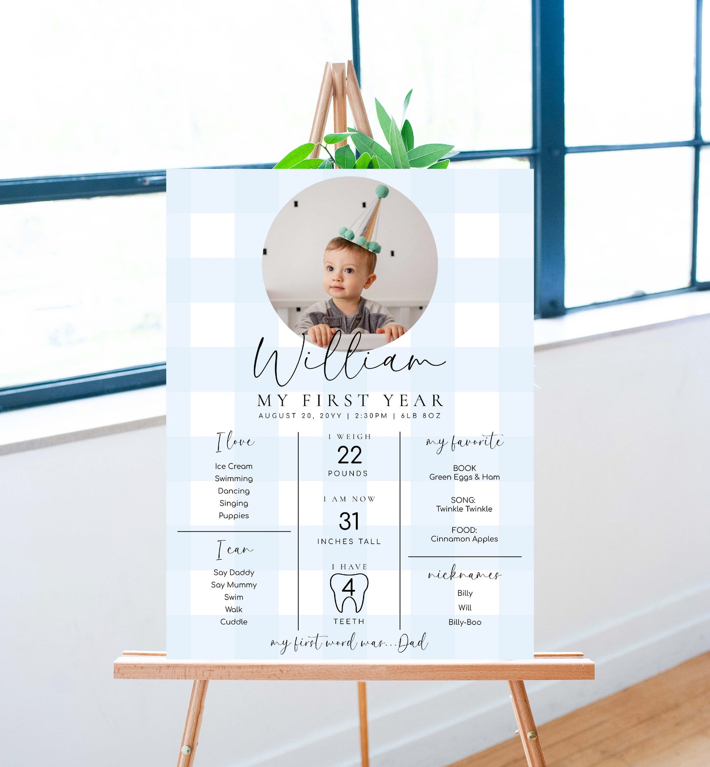 Printable Baby Milestone Board, Blue Gingham Check, Babys First Year Poster, 1st Birthday 12 Months Milestone Photo Banner Sign